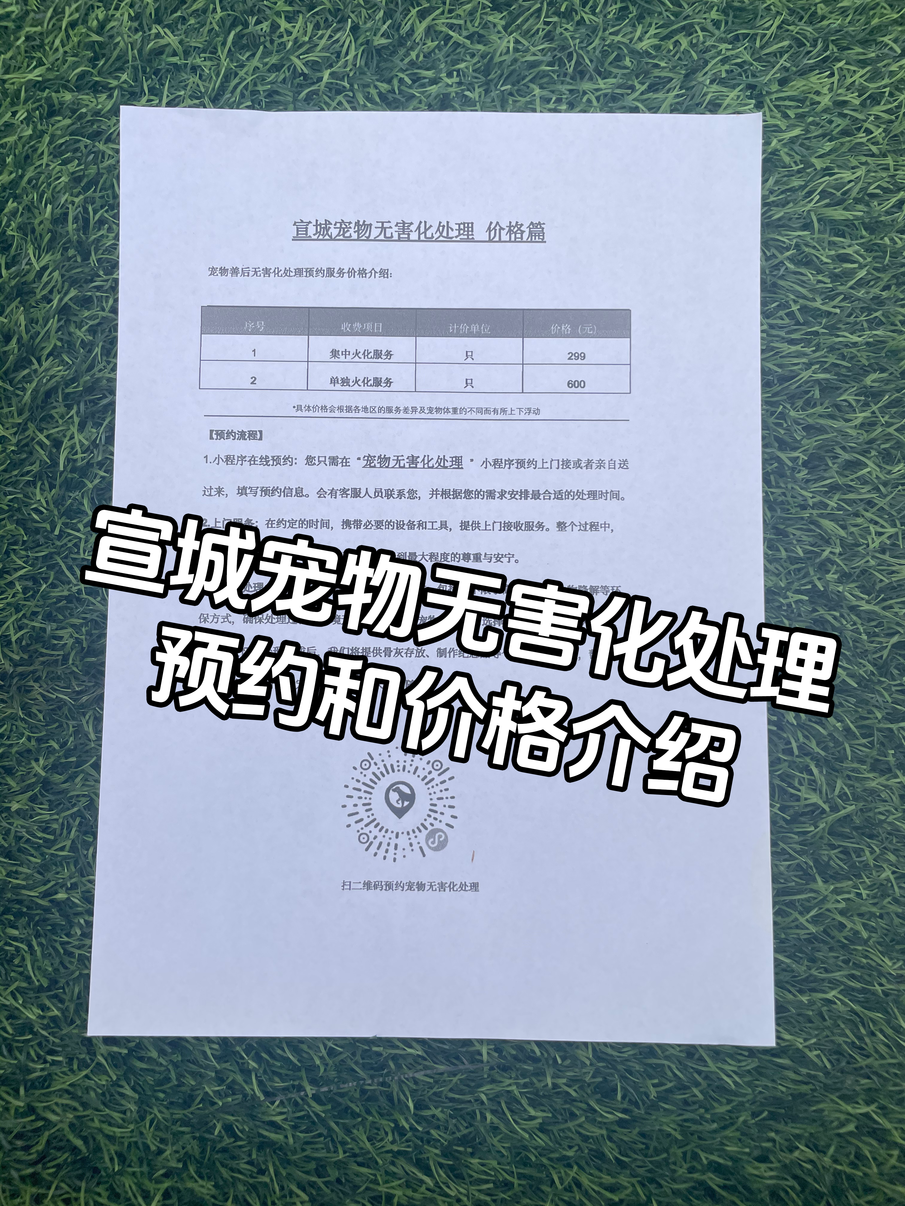 遂川宠物骨灰安置