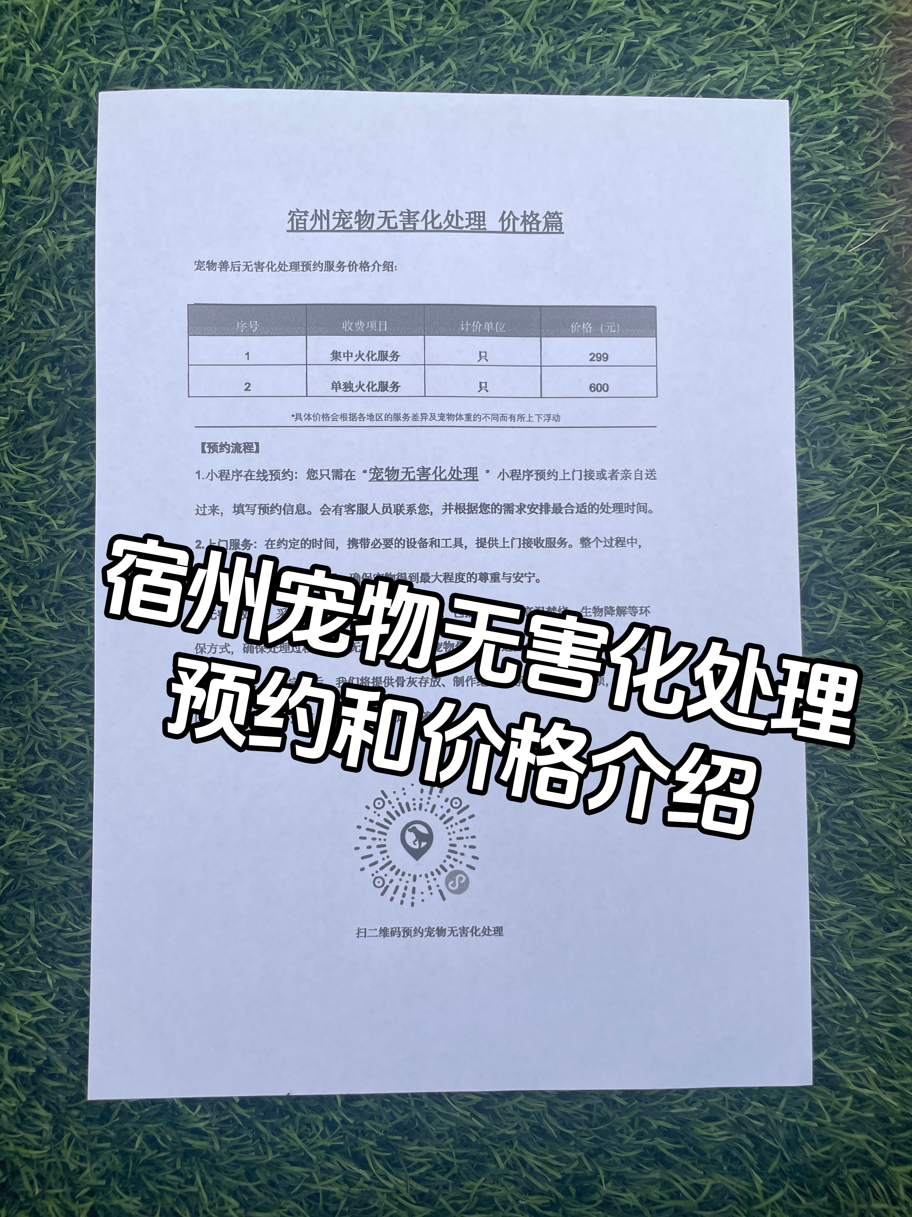 万安宠物无害化处理