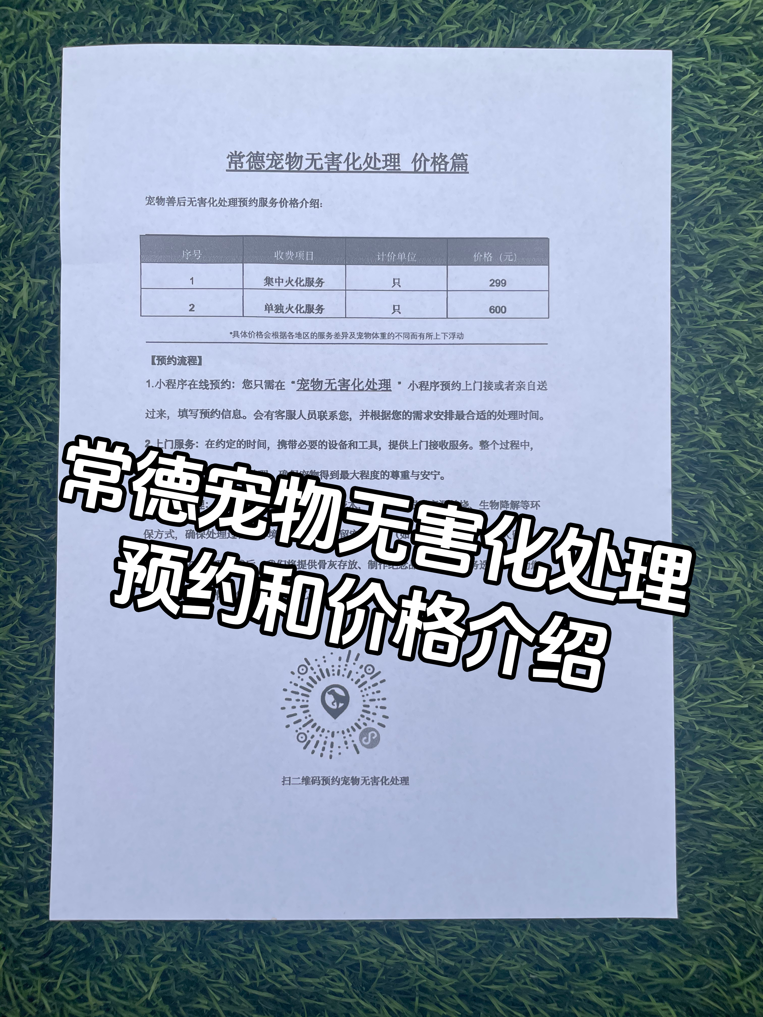 南京宠物无害化处理机构