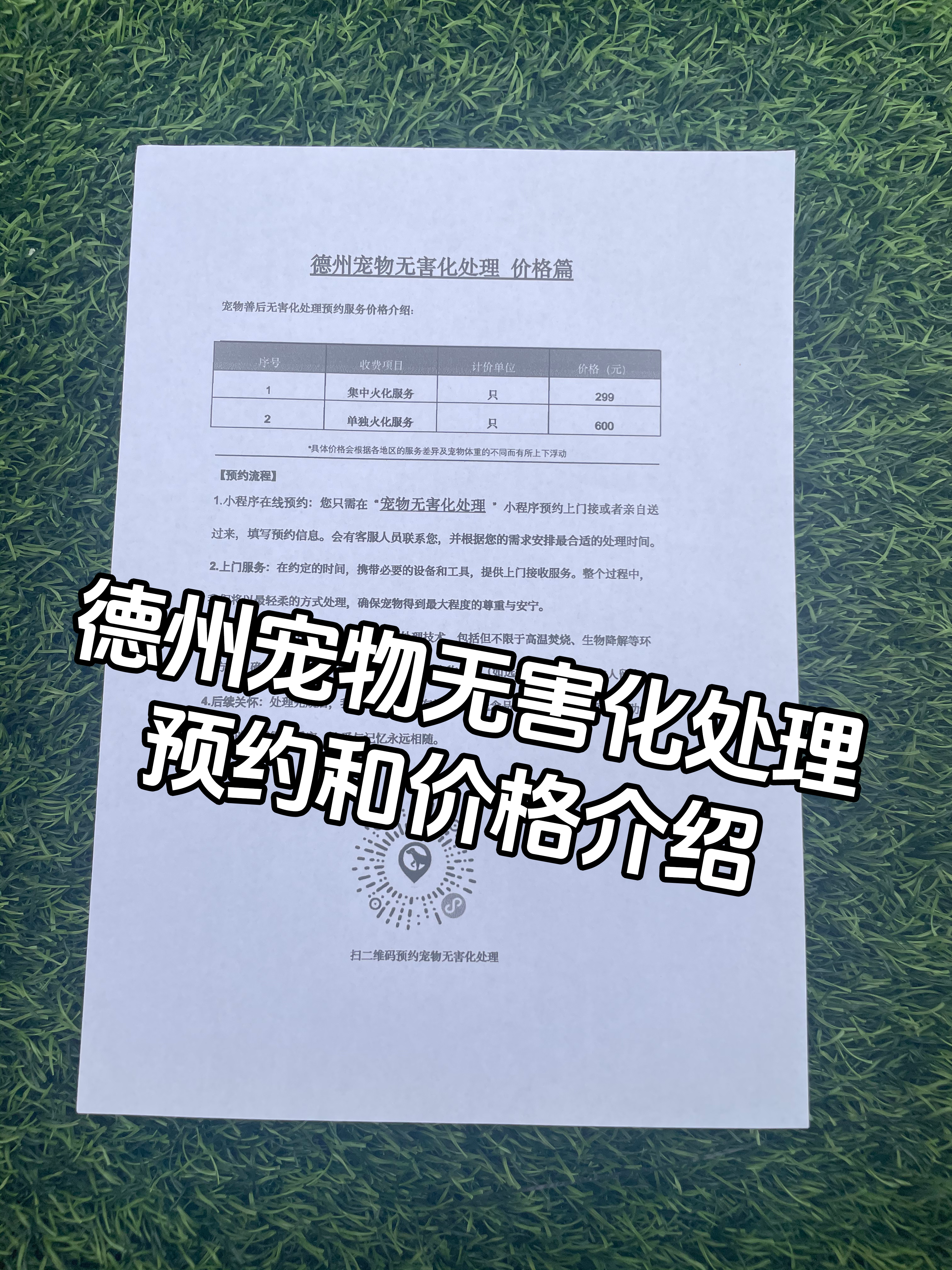 湛江宠物遗体规范处理