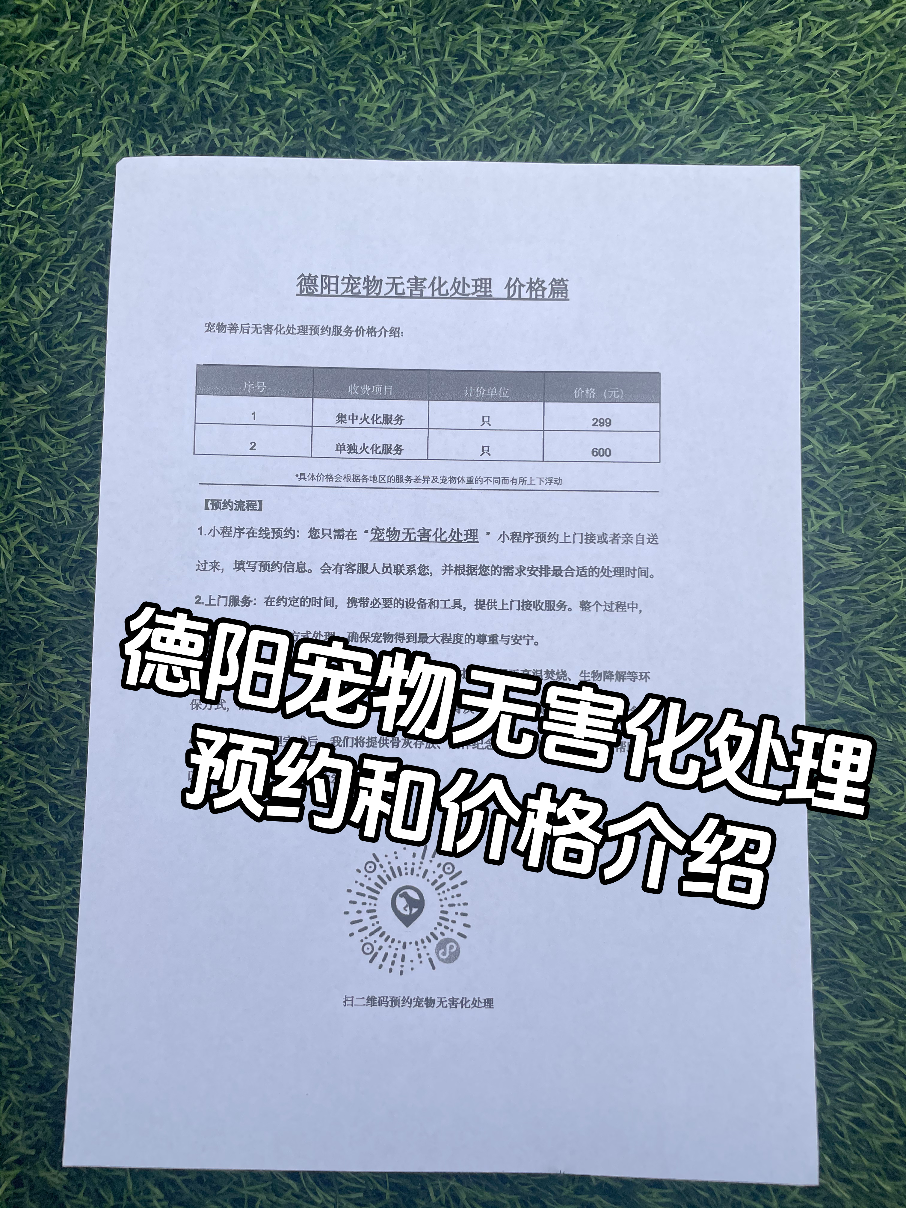 万安宠物接运服务