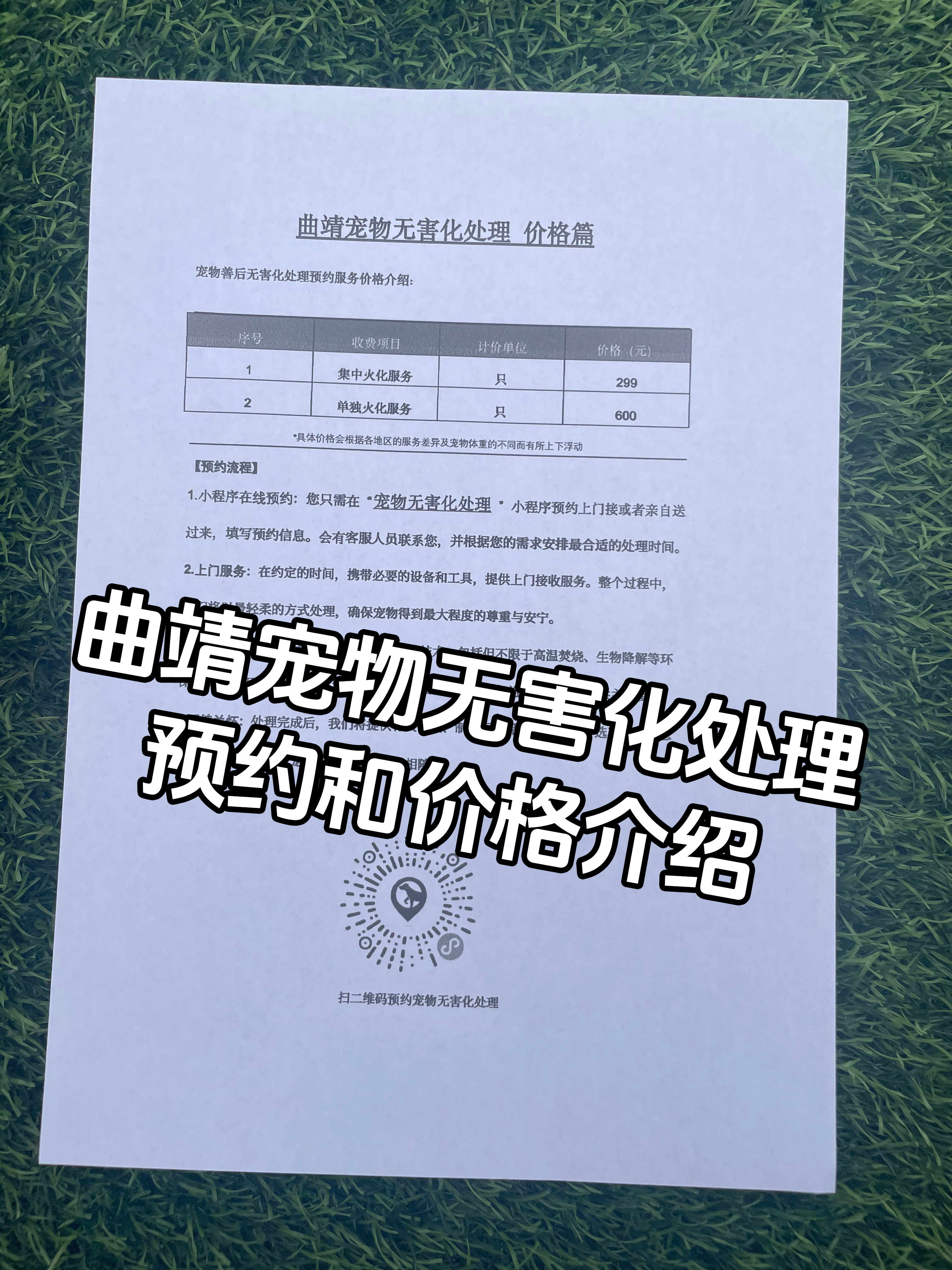 孝感宠物遗体规范处理