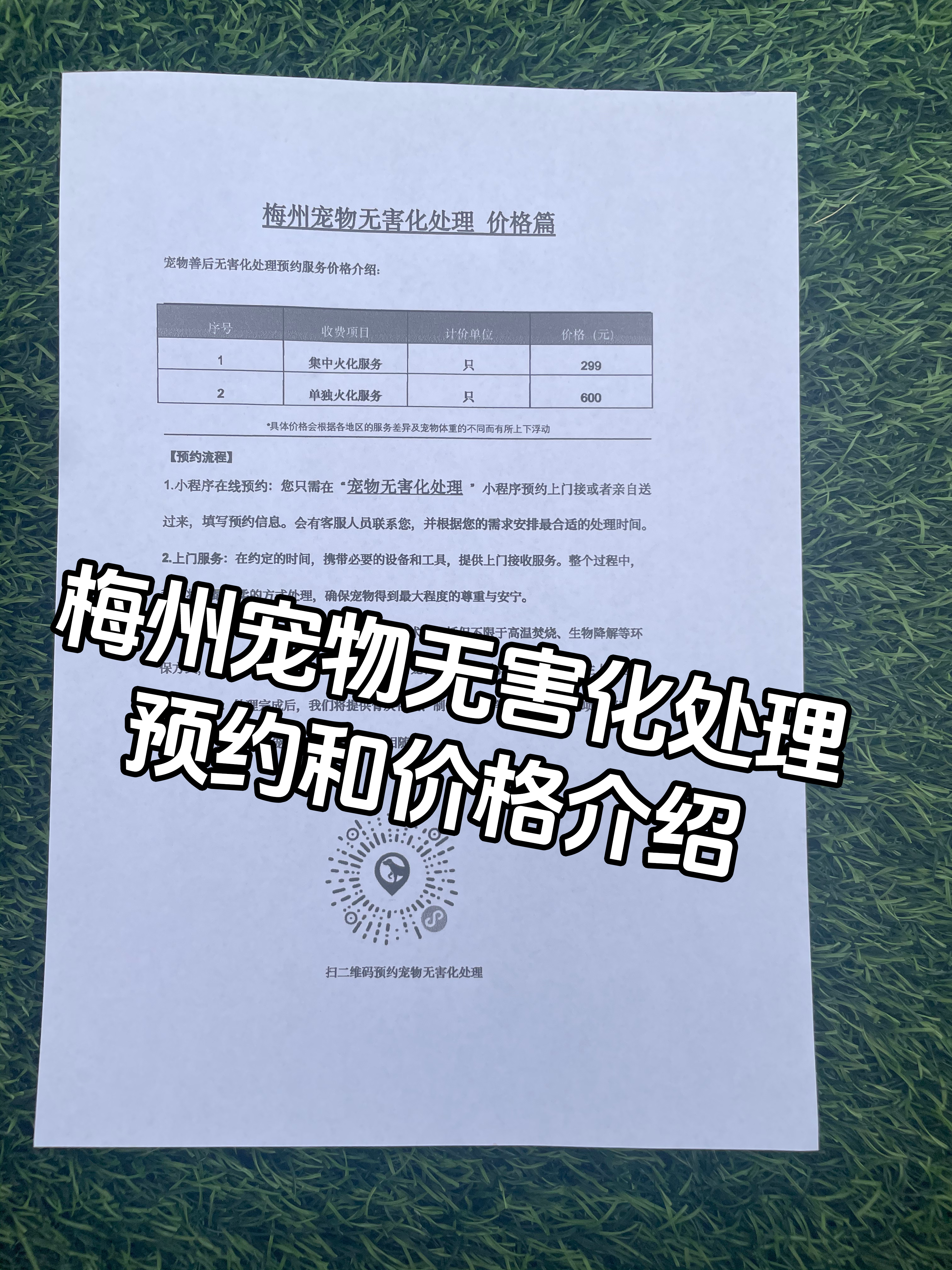 安福宠物无害化