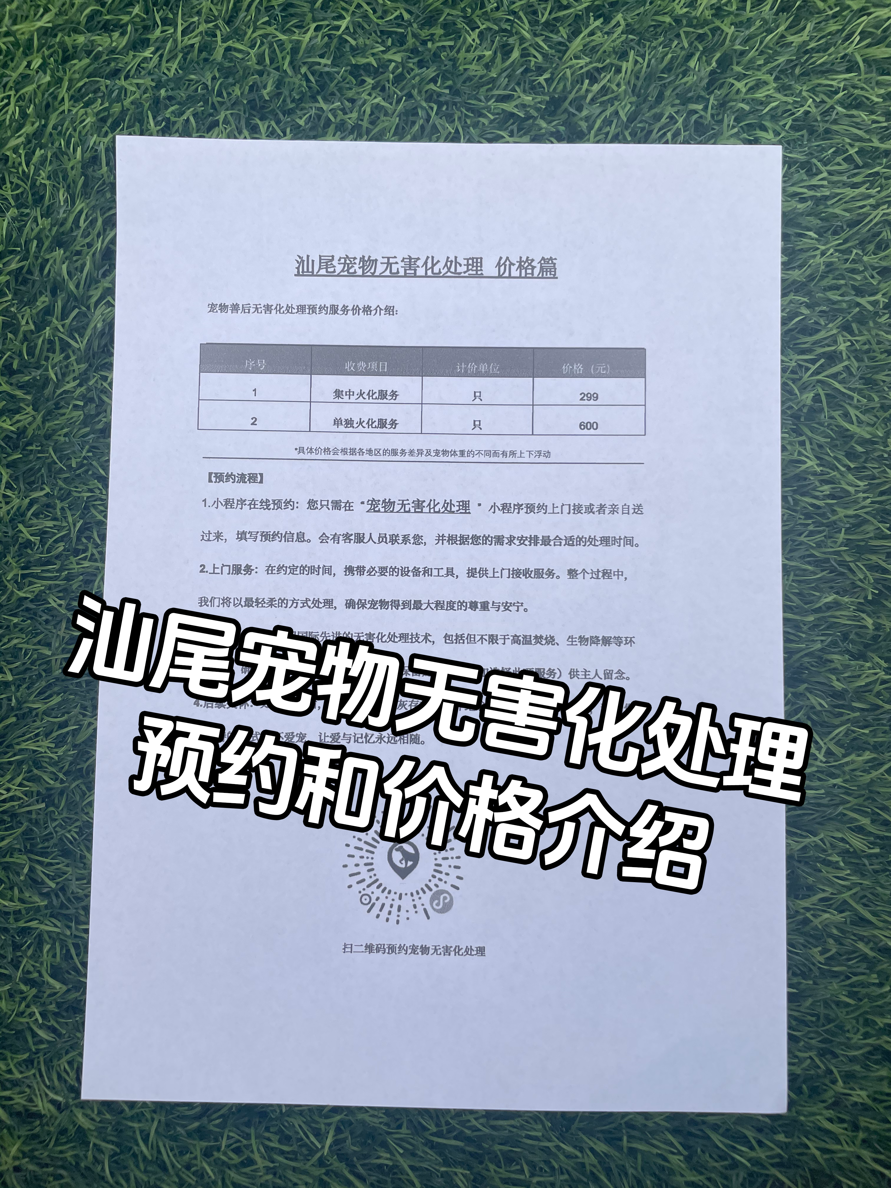 安福宠摆渡服务