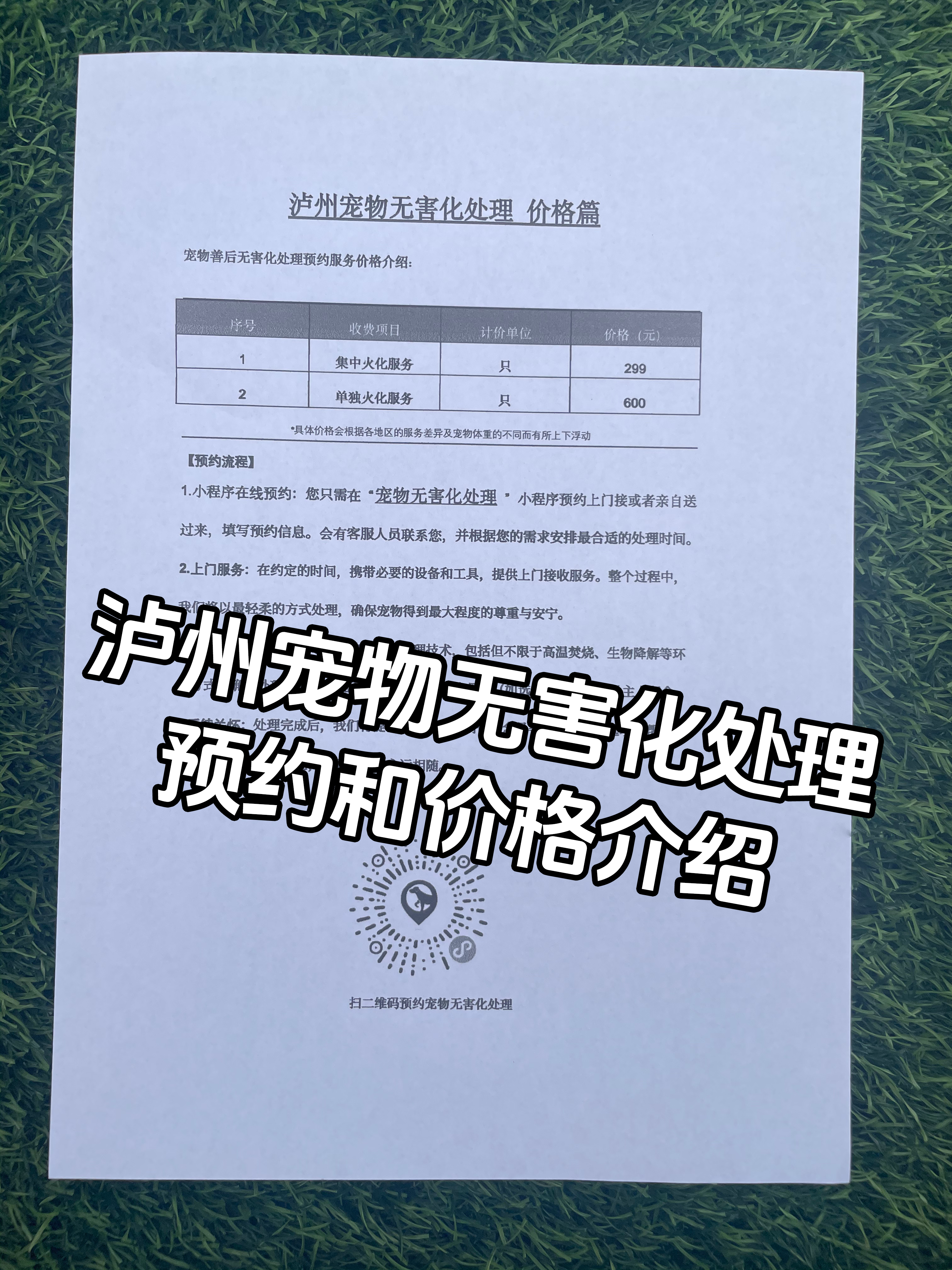 大连宠物无害化处理机构