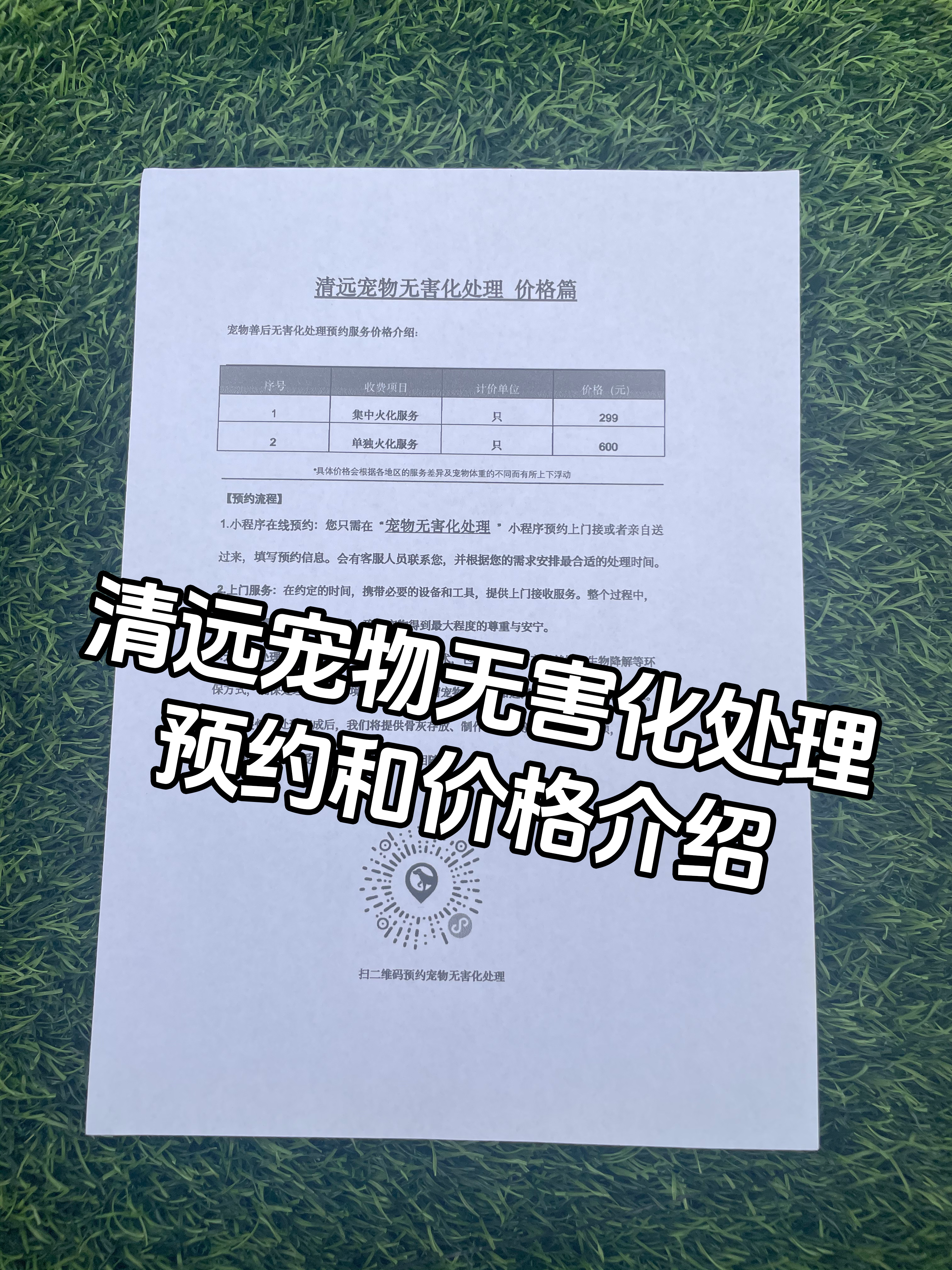 抚州宠物无害化处理