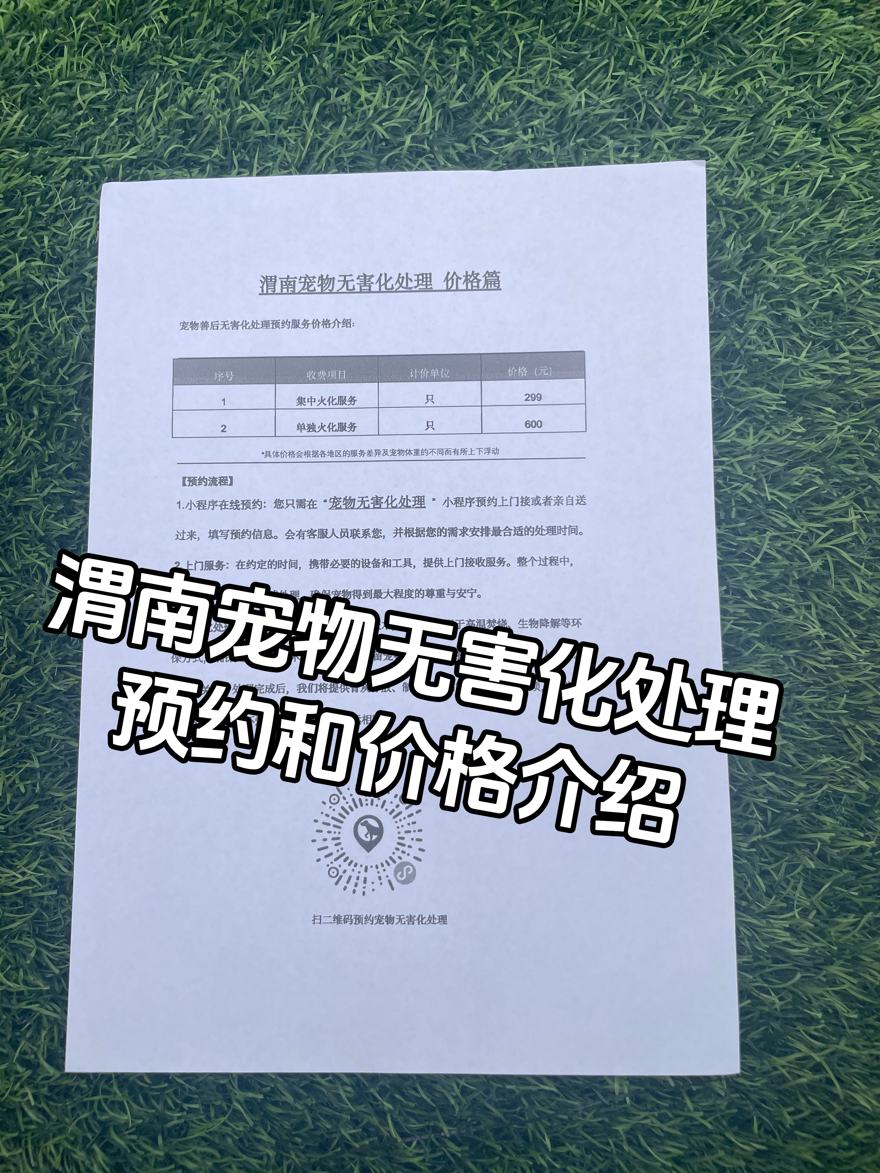 石家庄宠物遗体规范处理