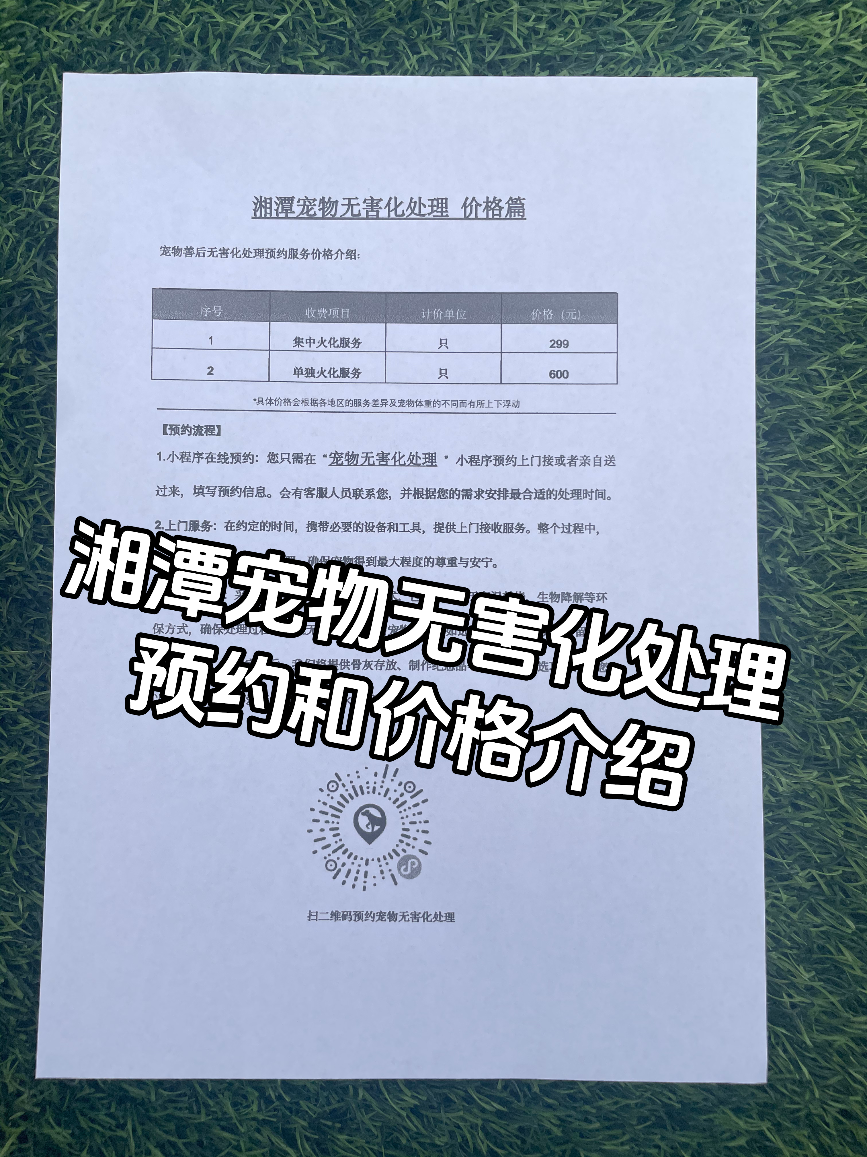 安福宠物骨灰安置