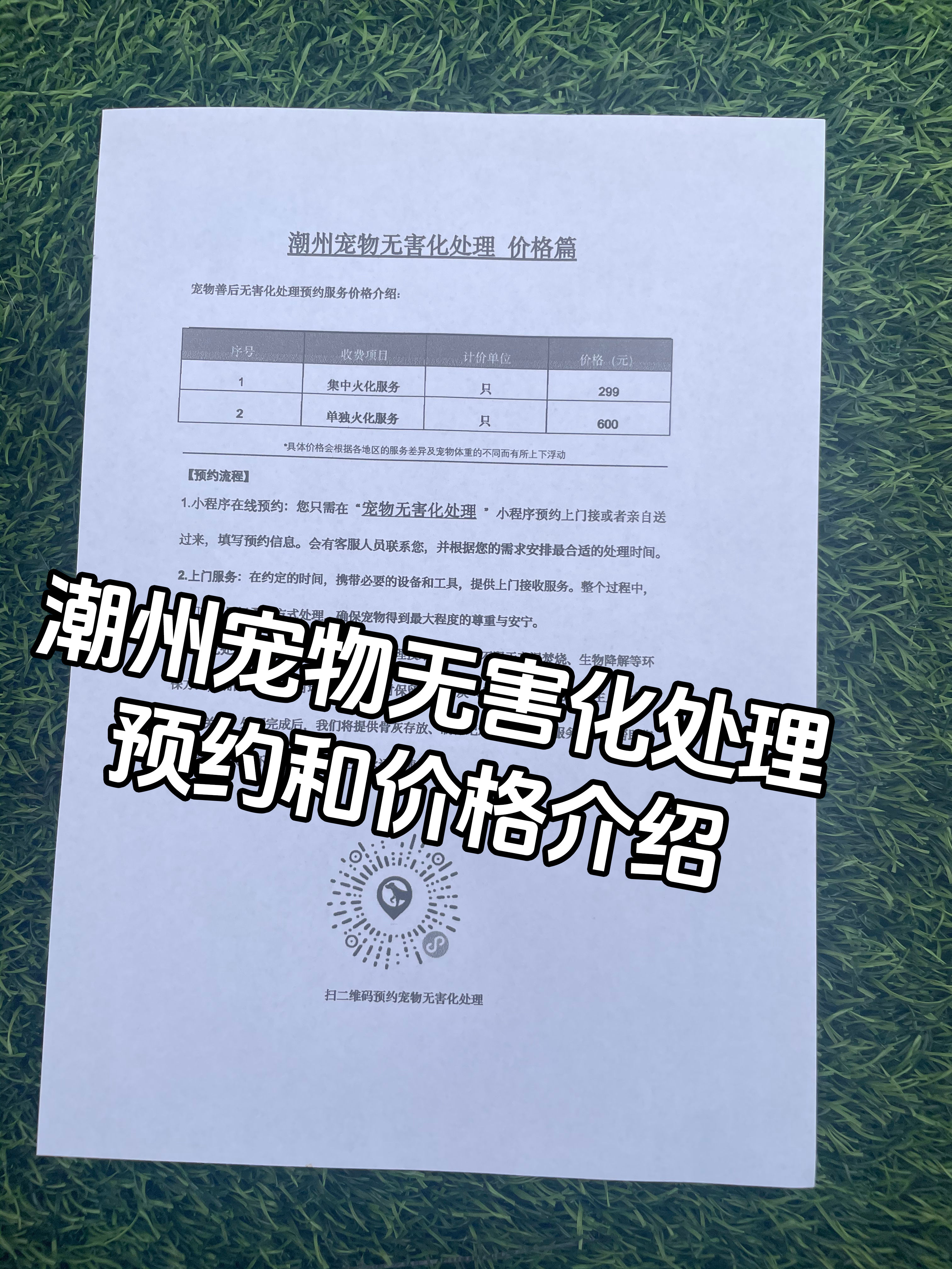 永新宠物无害化处理