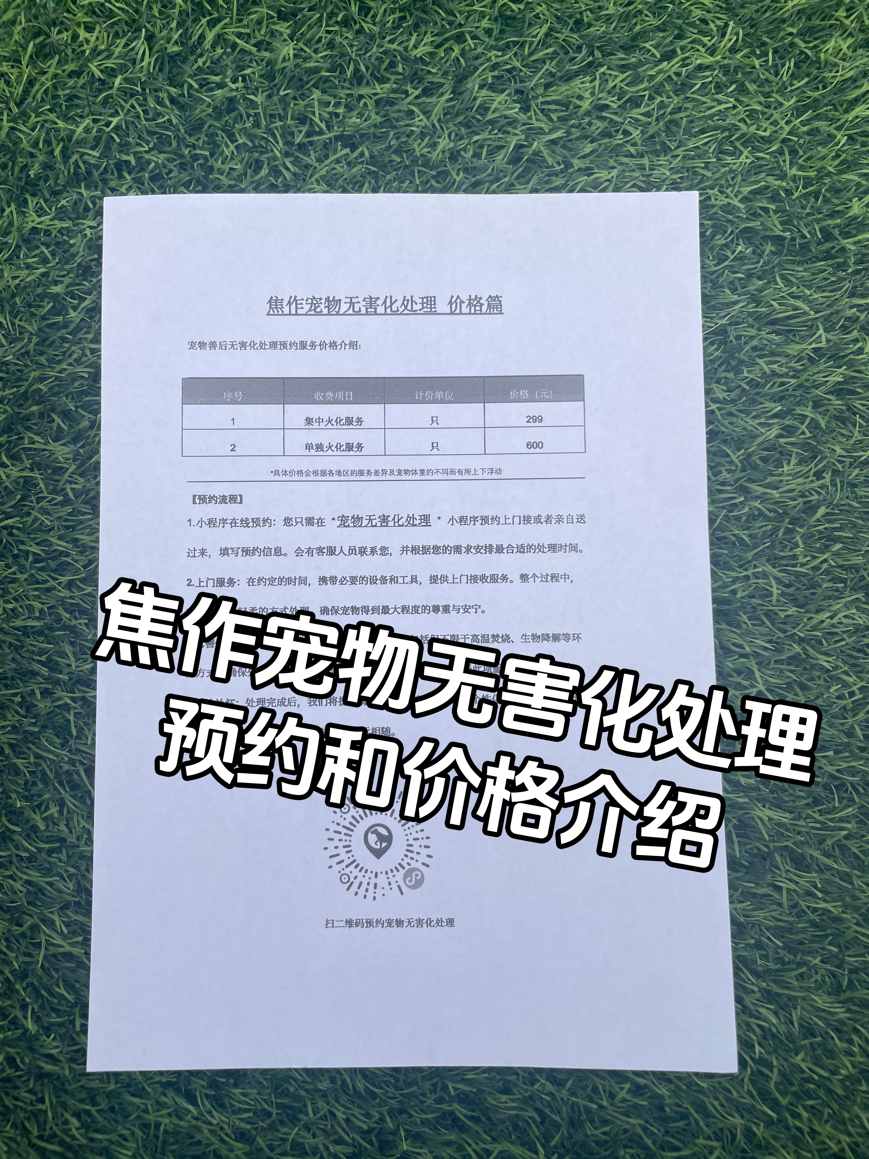 永新宠物无害化