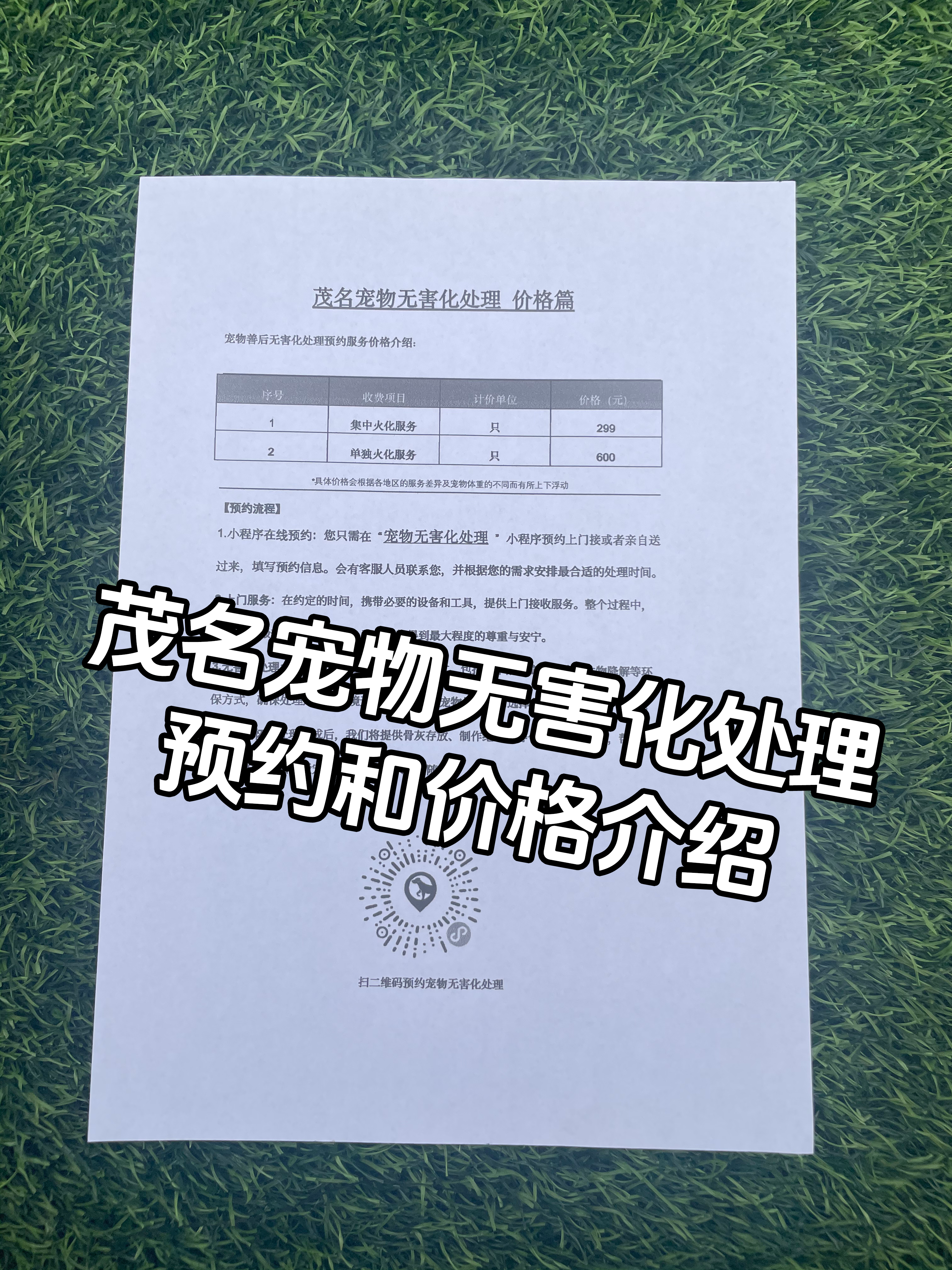 岳阳宠物无害化处理机构