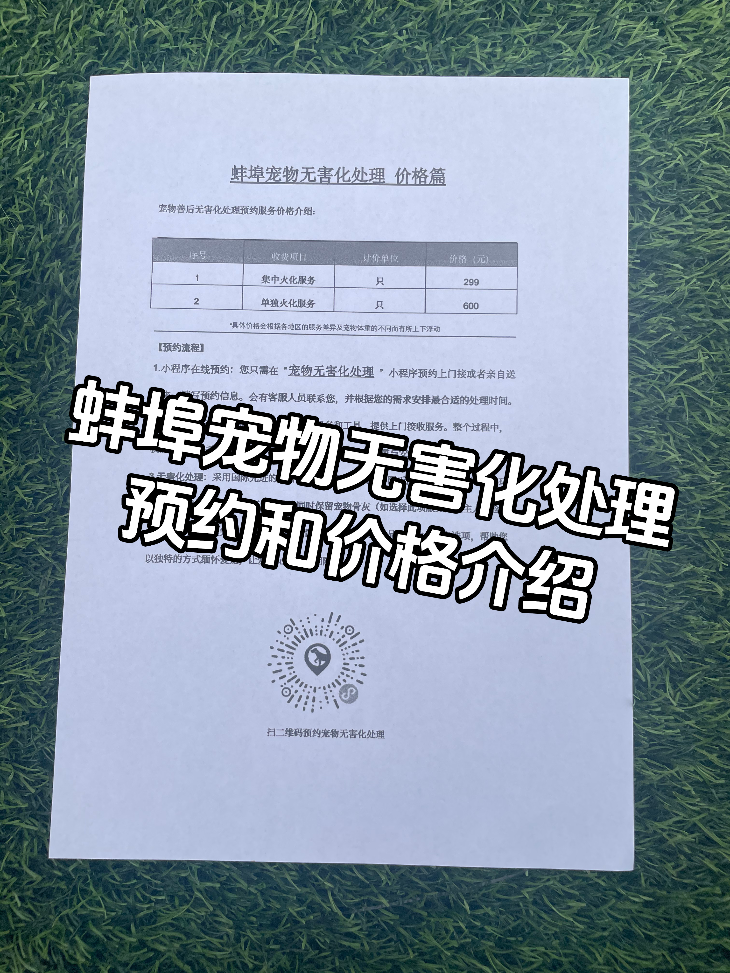 永新宠物骨灰安置