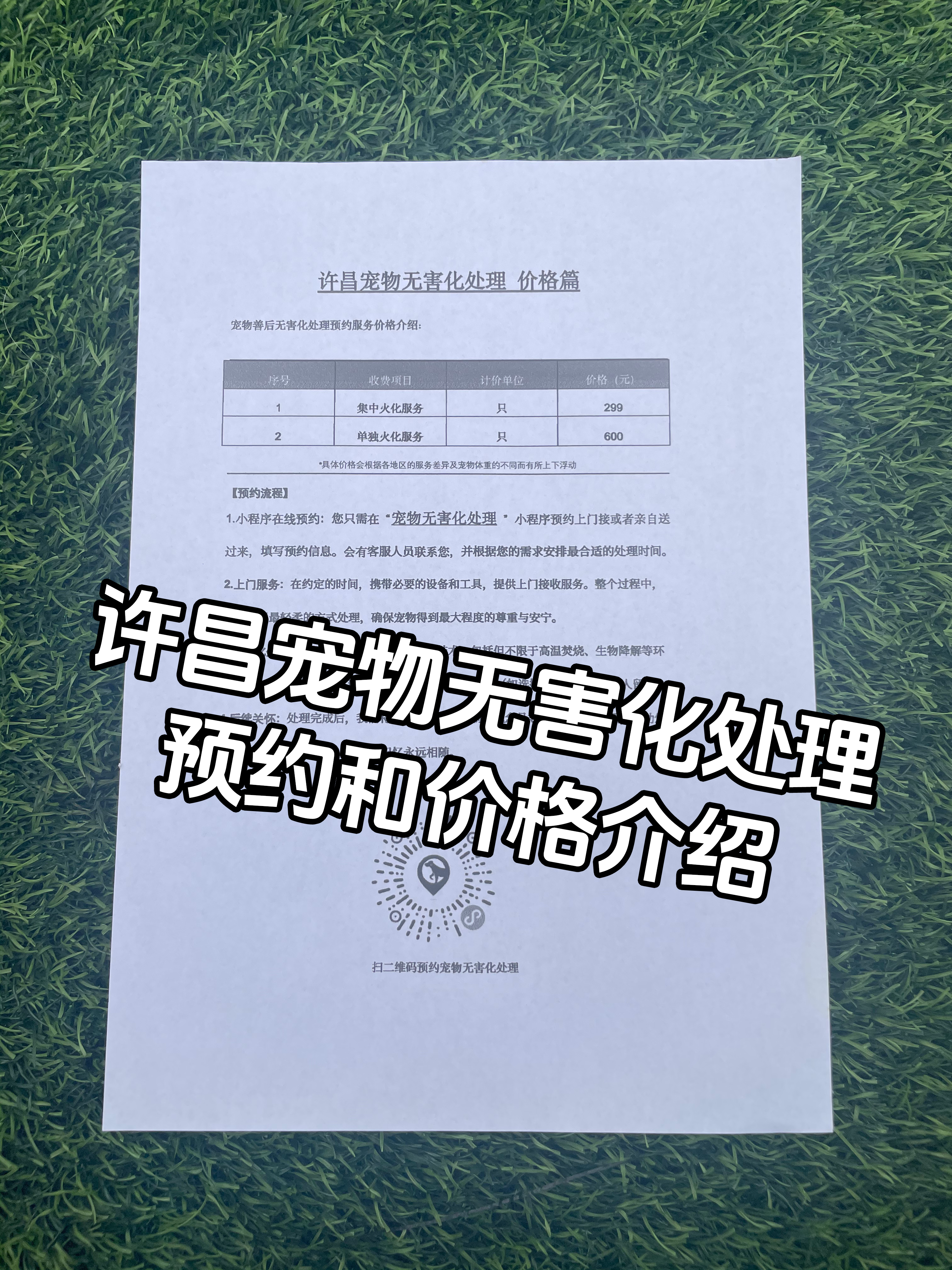 井冈山宠物无害化
