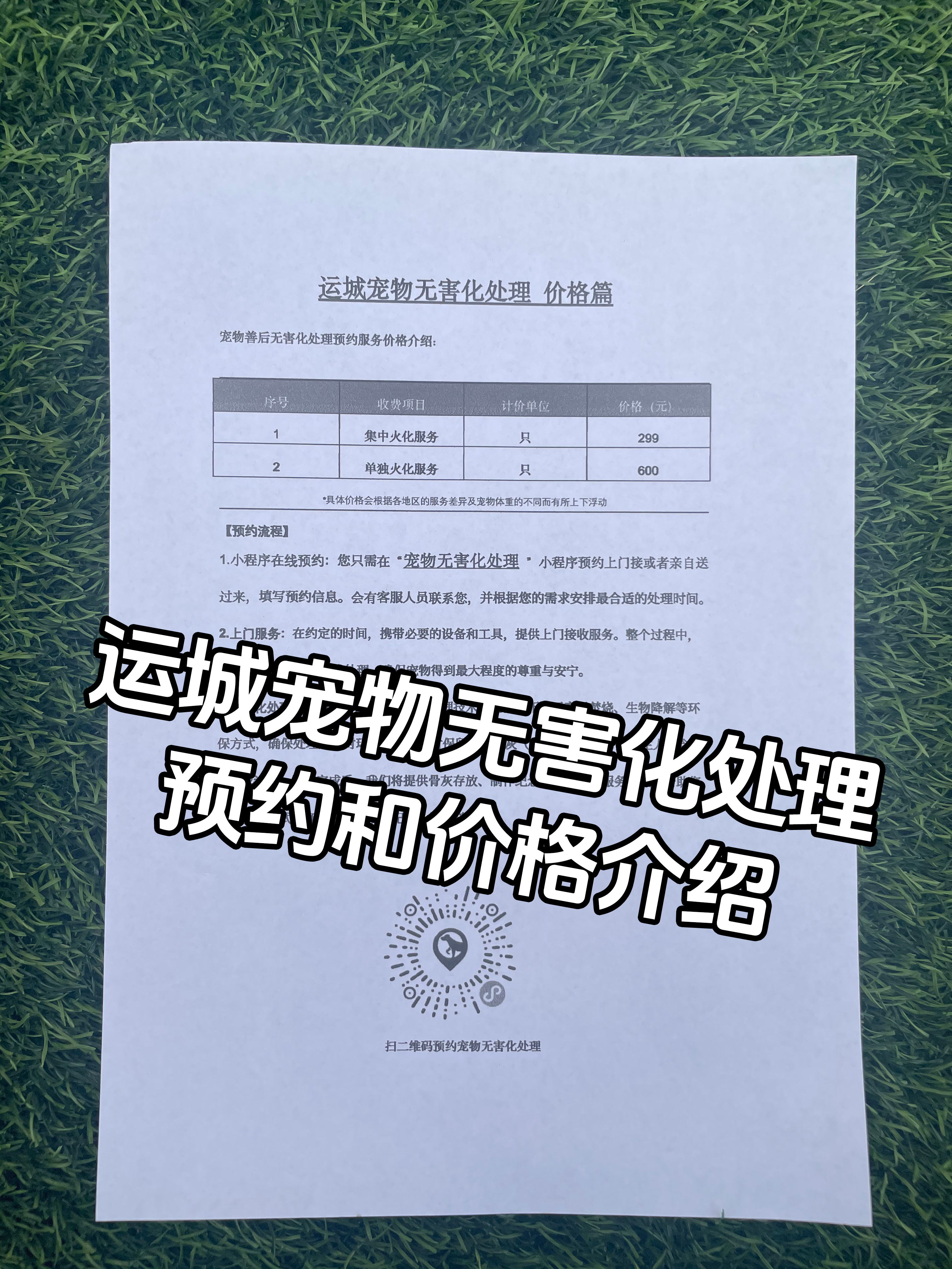 桂林宠物遗体规范处理