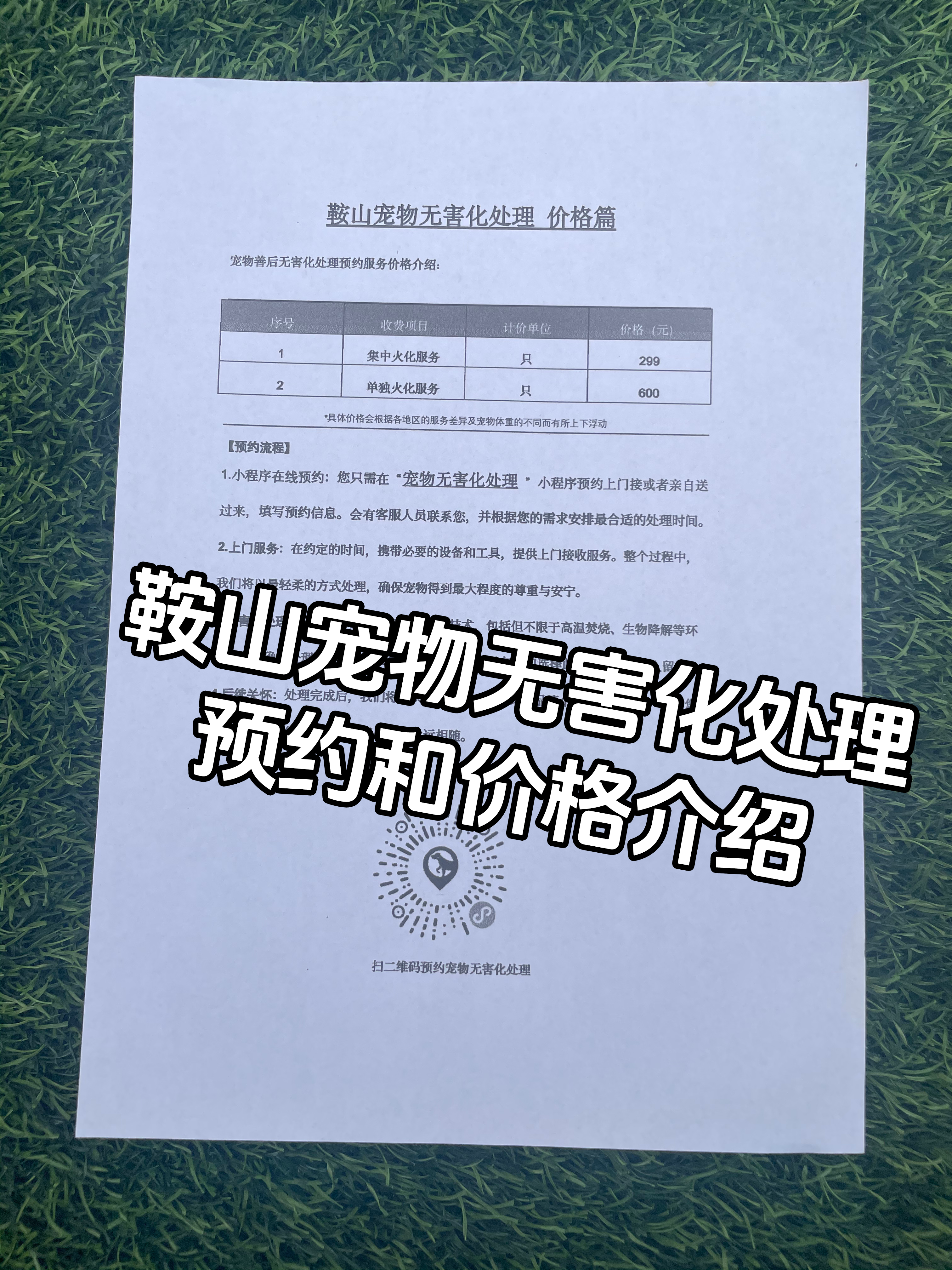井冈山宠物接运服务