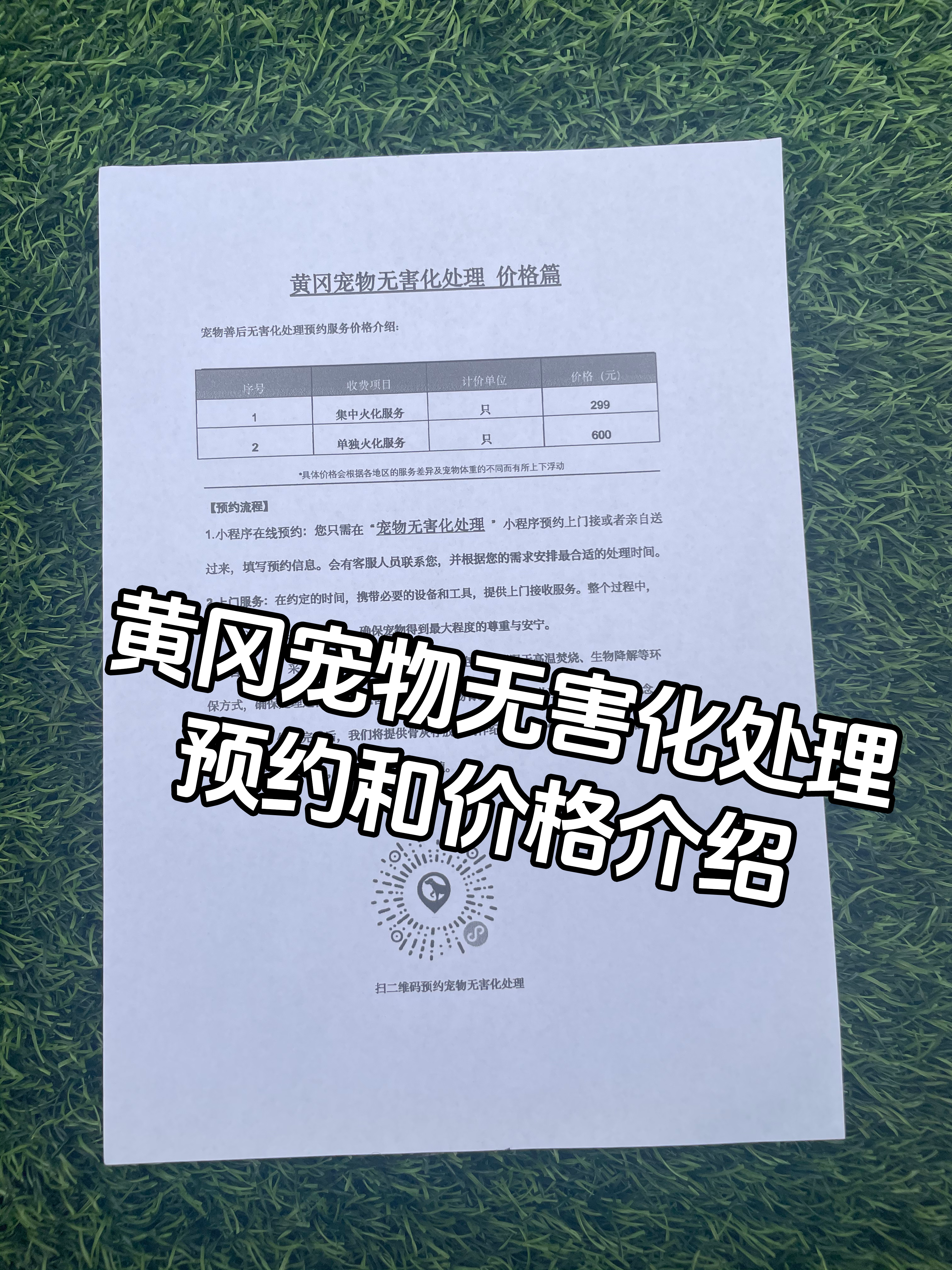 中山宠物无害化处理机构
