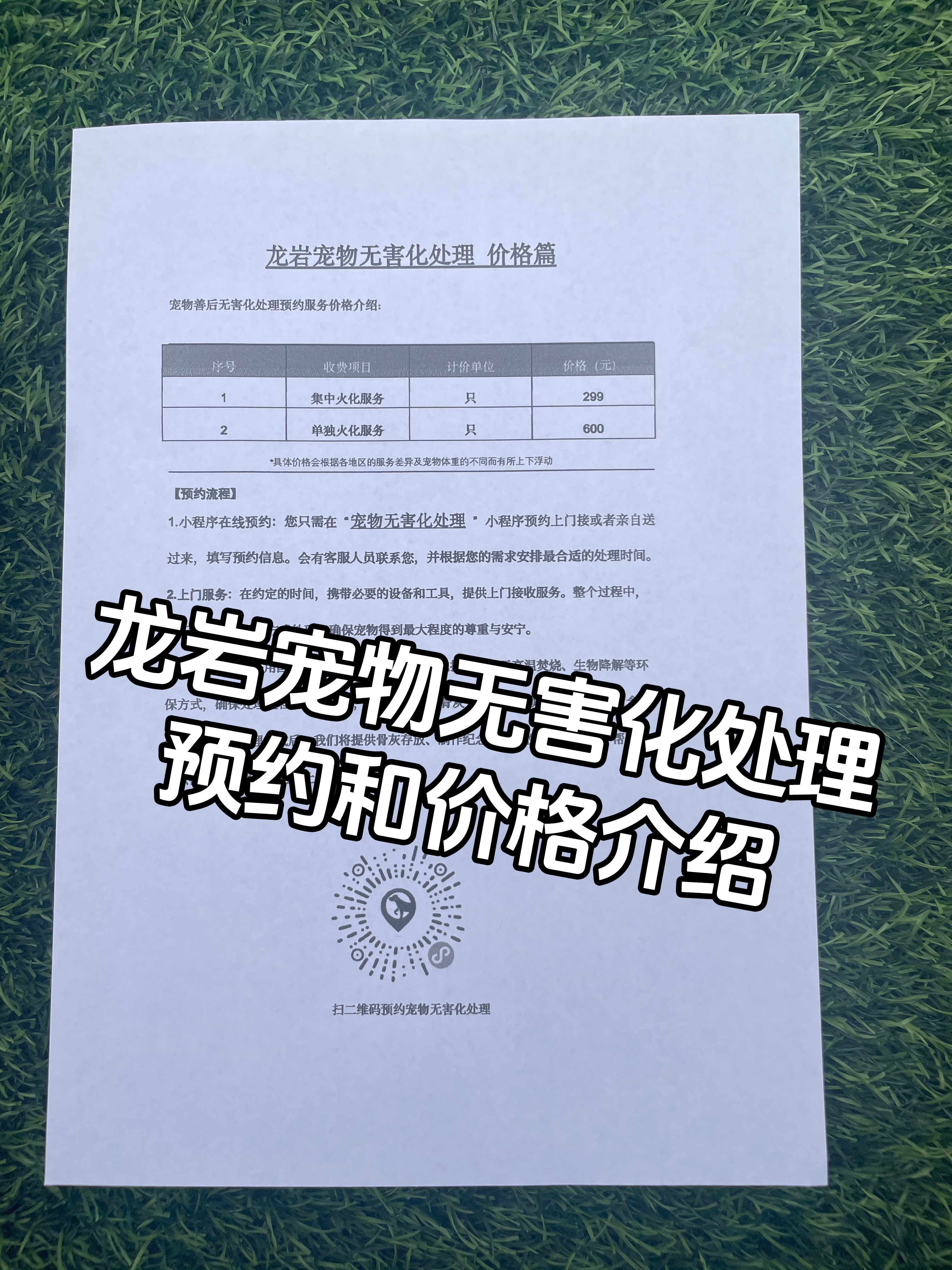 井冈山宠物骨灰安置