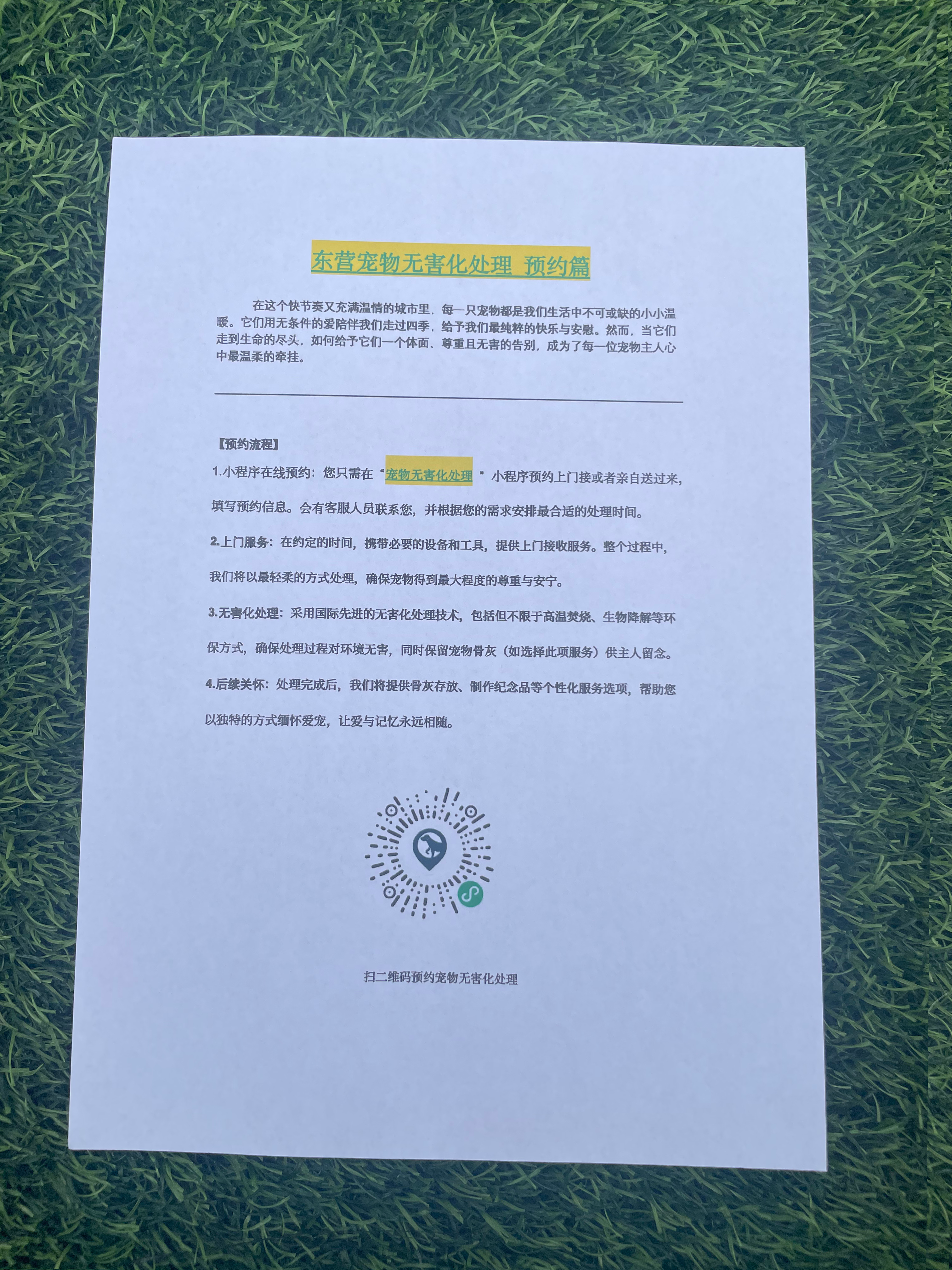 万载宠摆渡服务