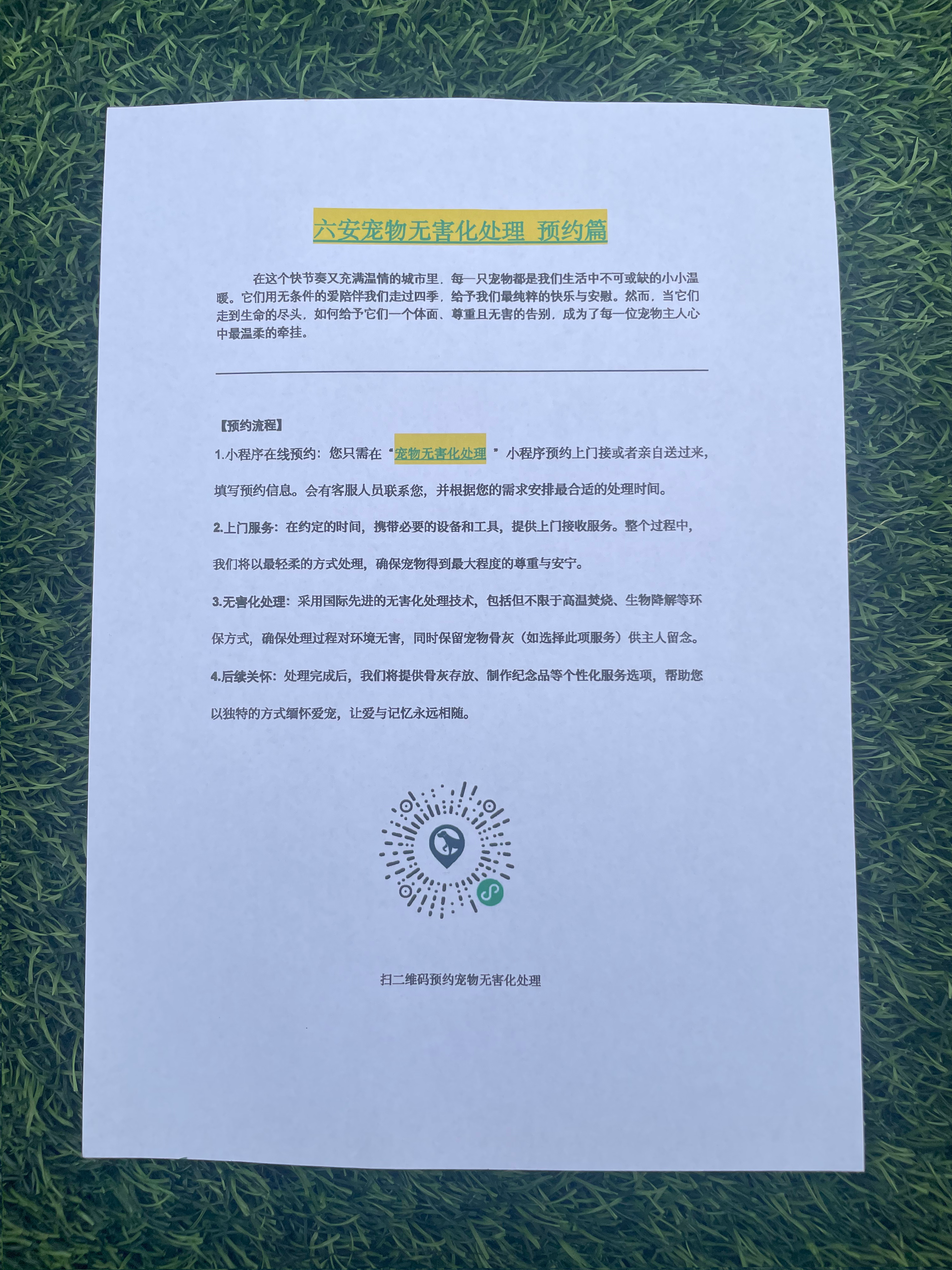 万载宠物接运服务
