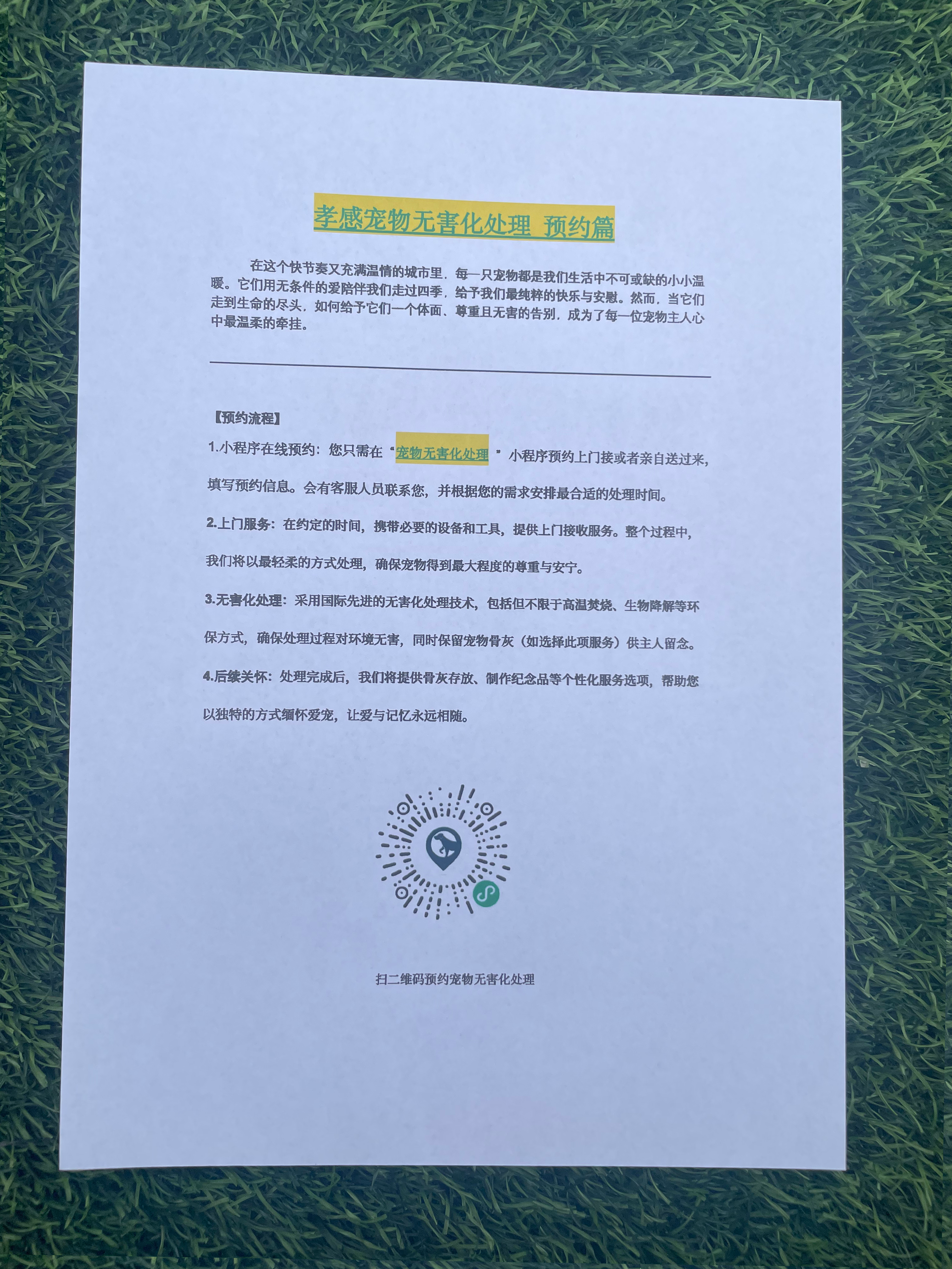 上高宠摆渡服务