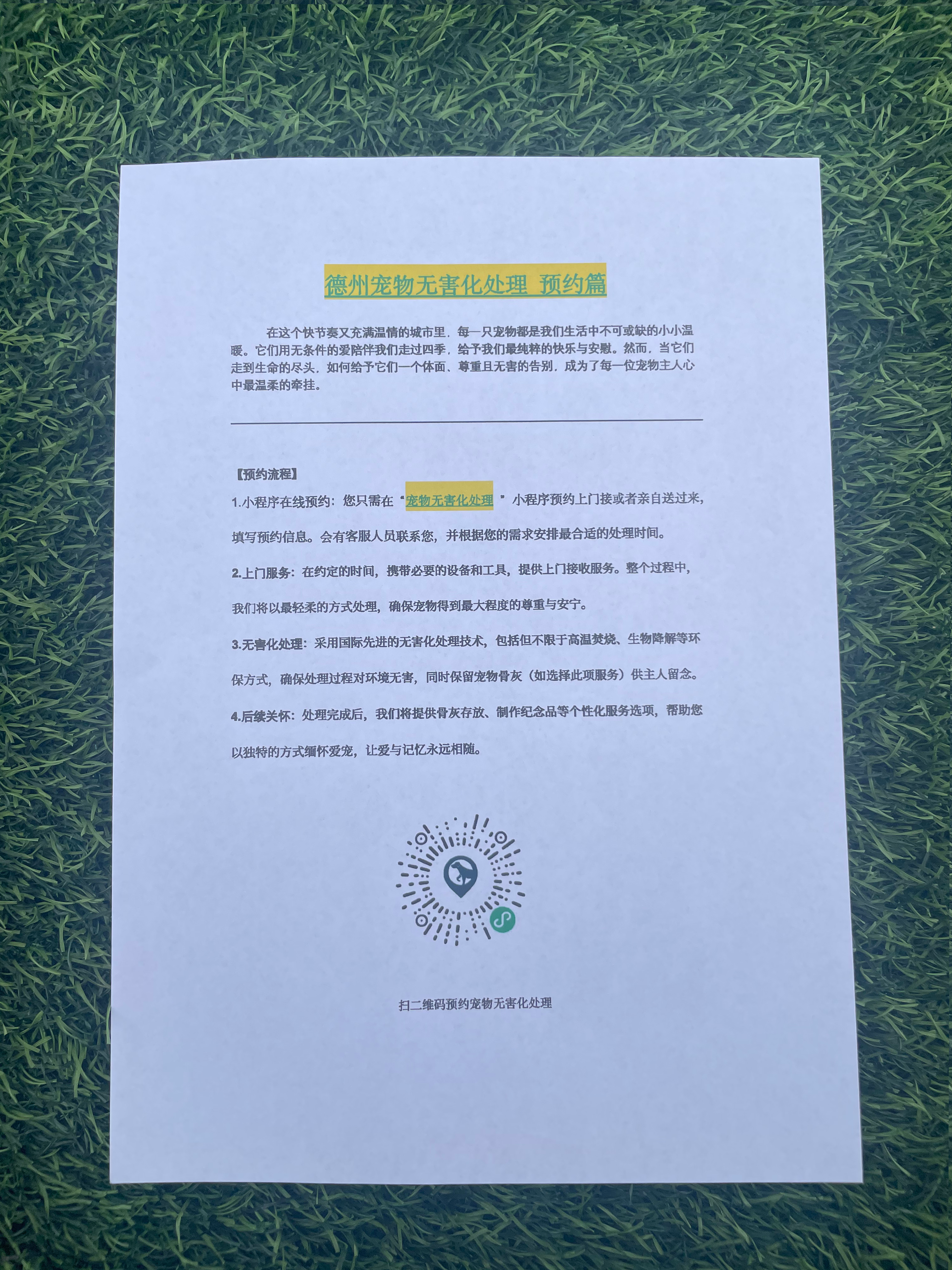 宜丰宠物接运服务