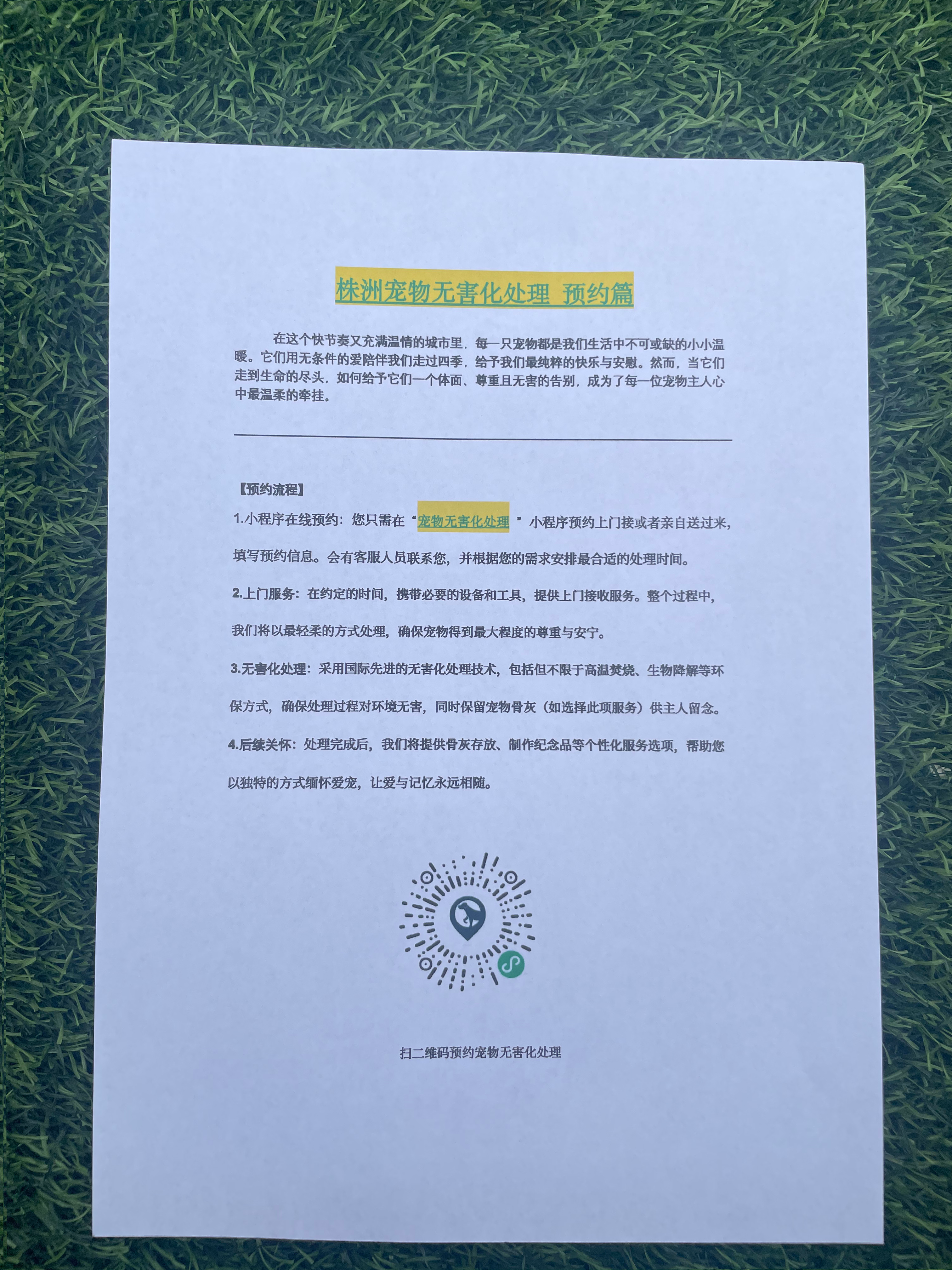铜鼓宠物无害化