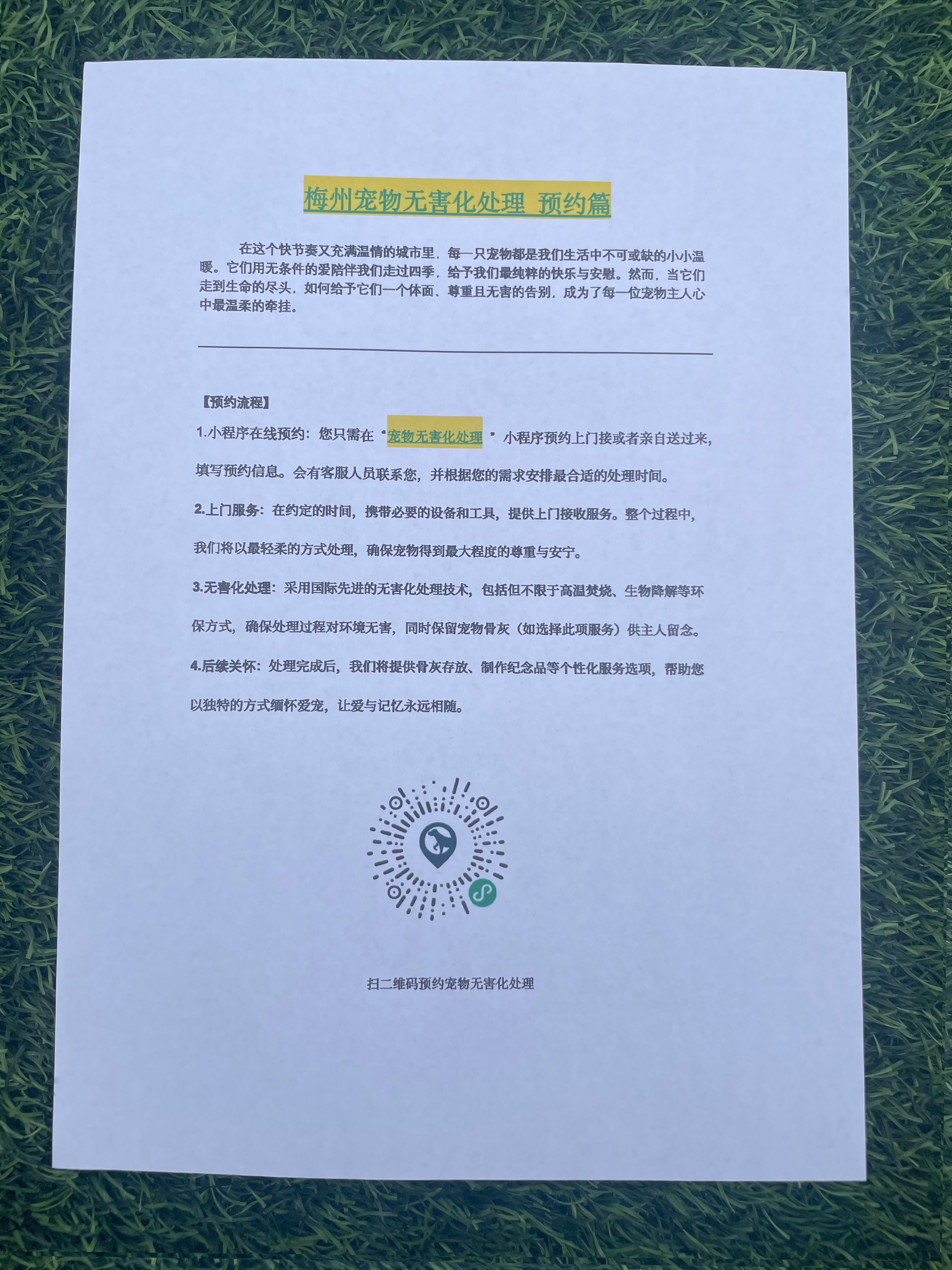 铜鼓宠摆渡服务