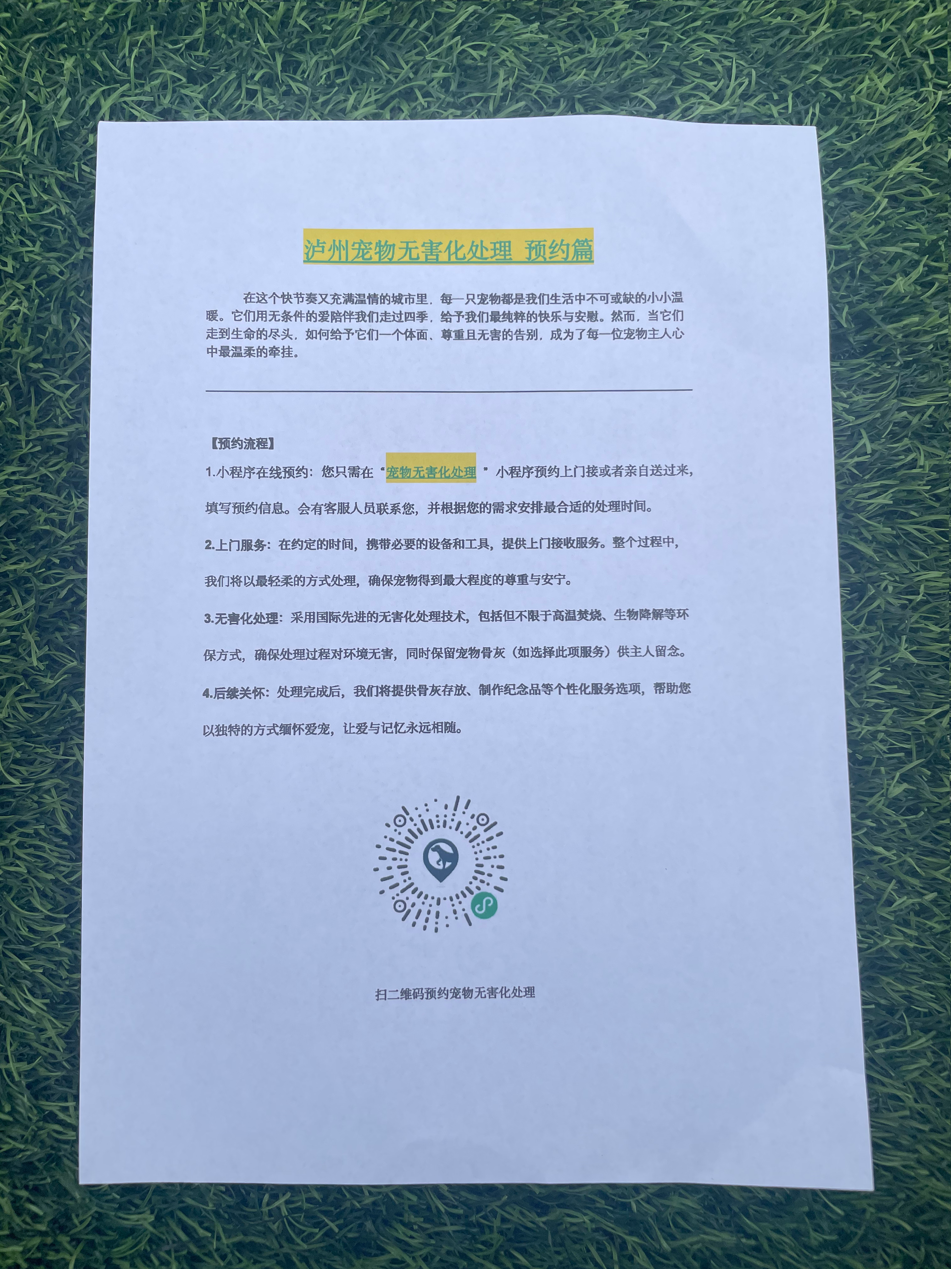 铜鼓宠物接运服务