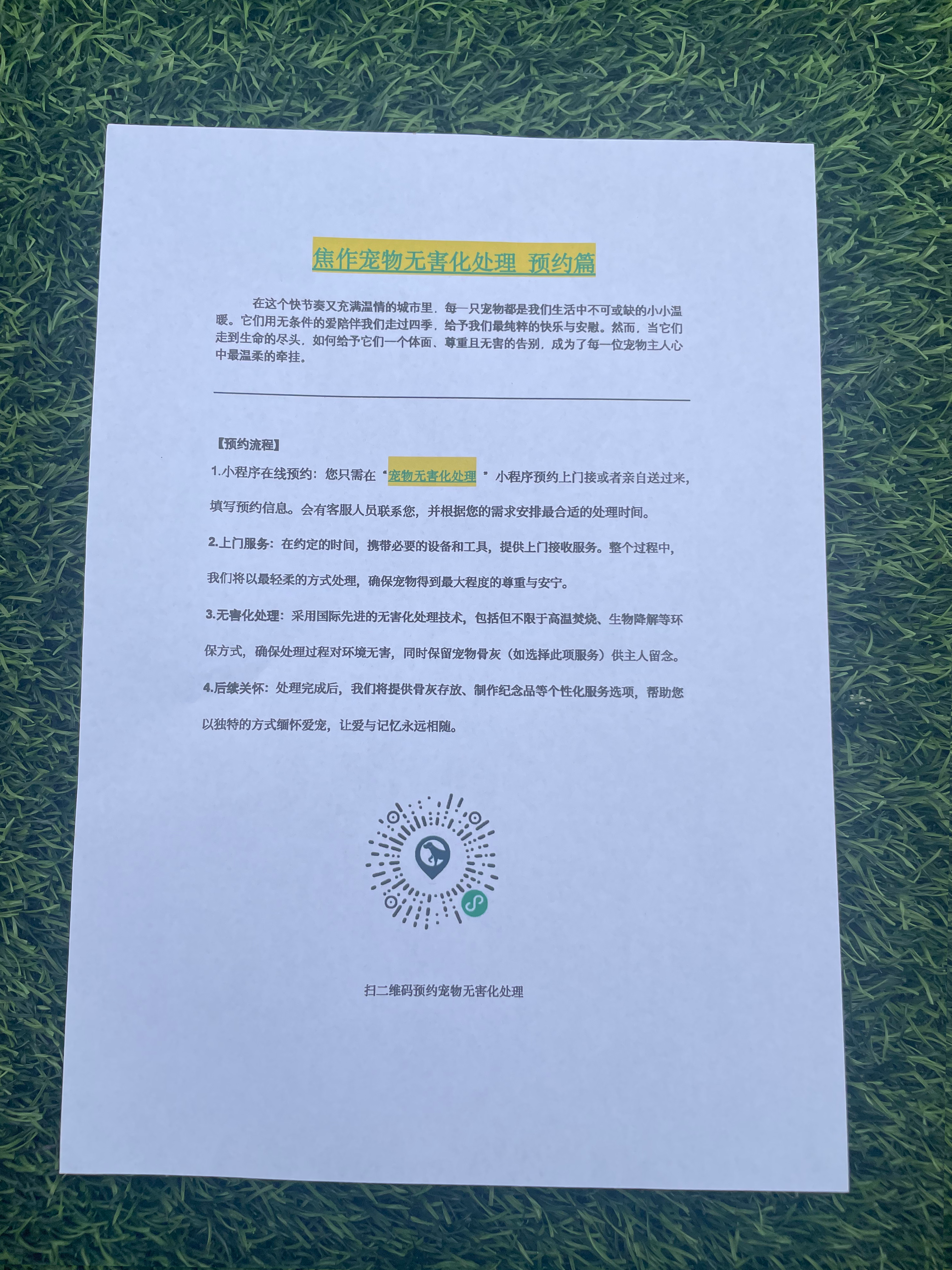 丰城宠摆渡服务