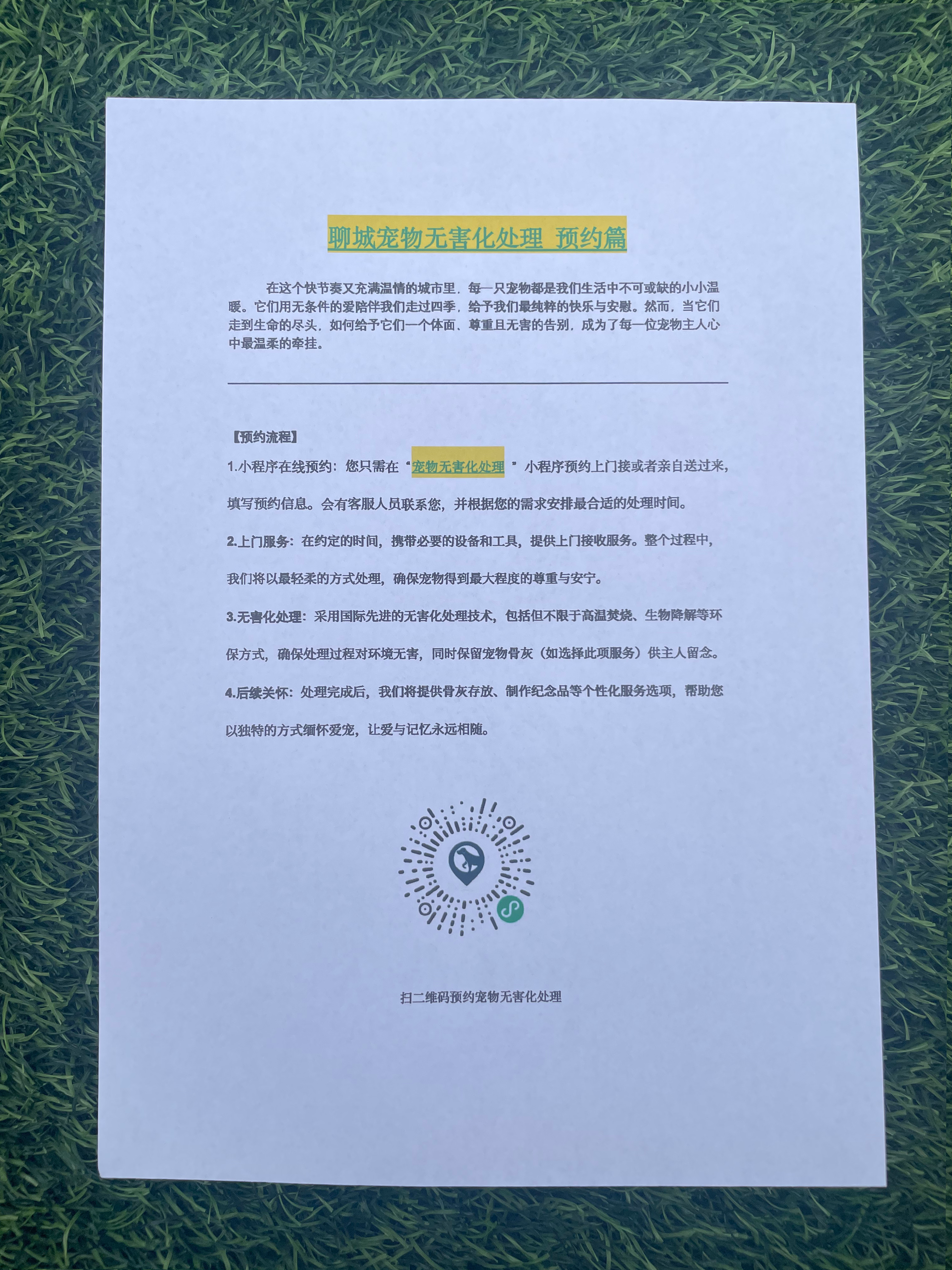 丰城宠物无害化处理流程