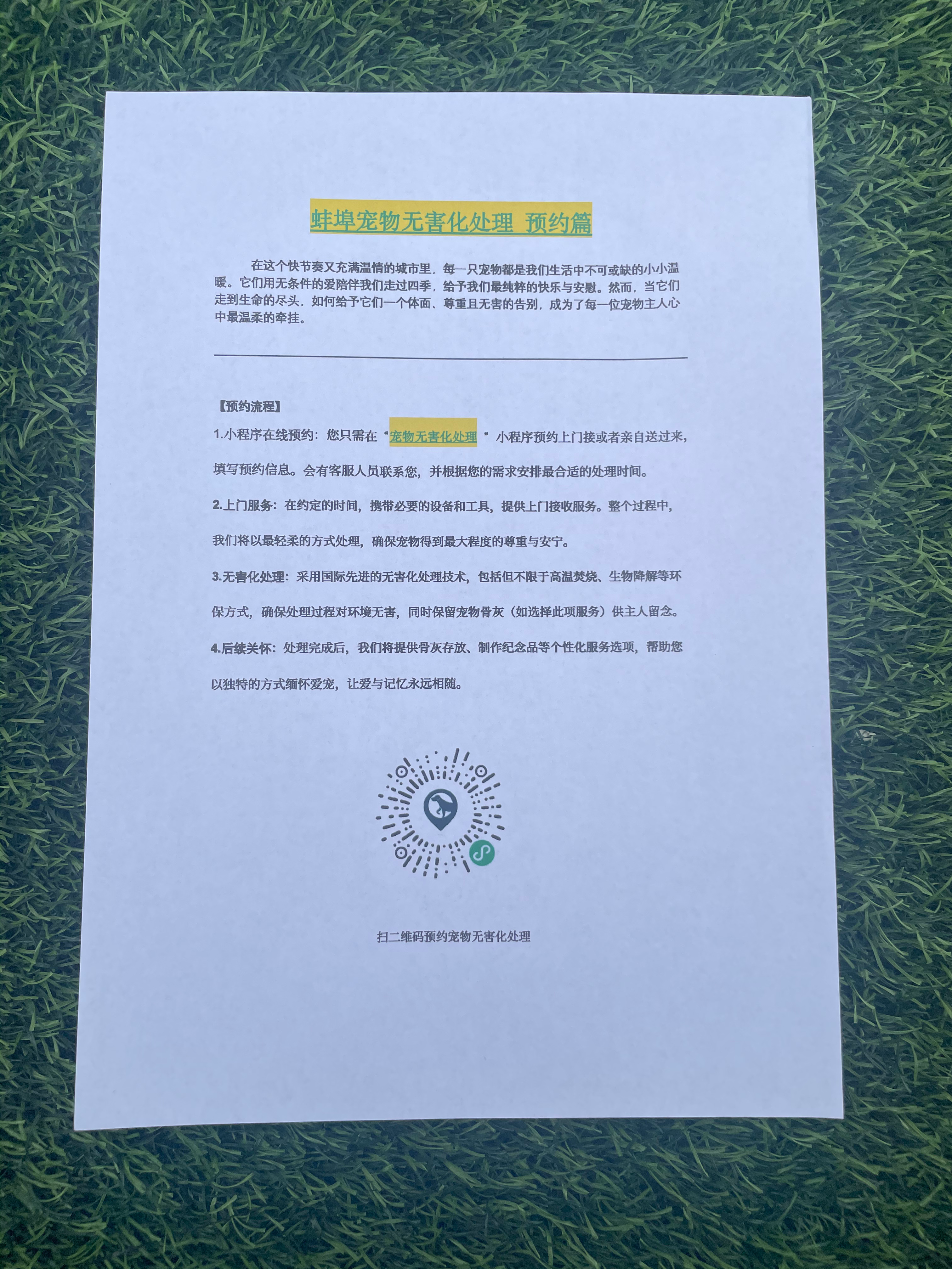 长沙宠物遗体规范处理