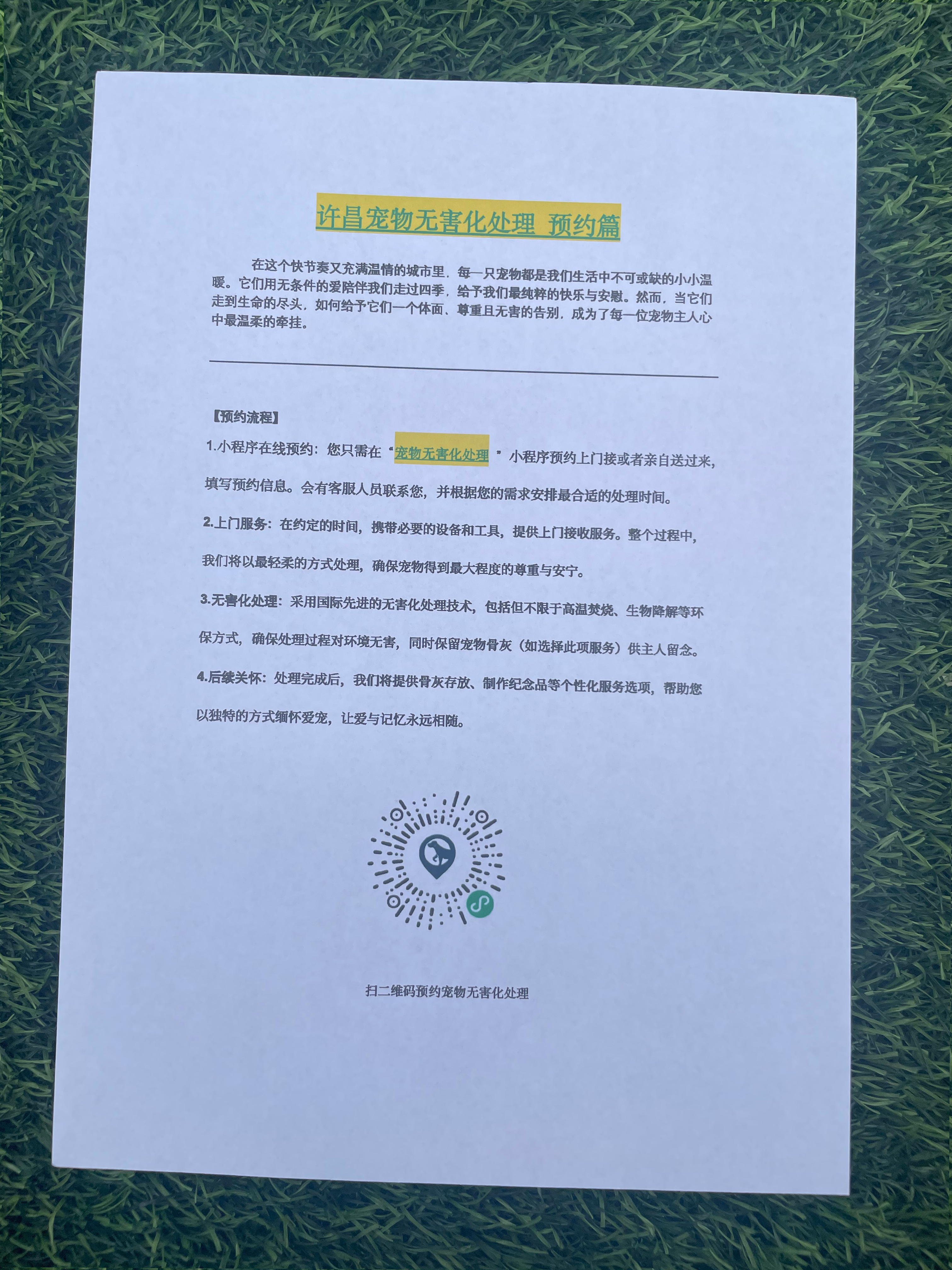 樟树宠摆渡服务