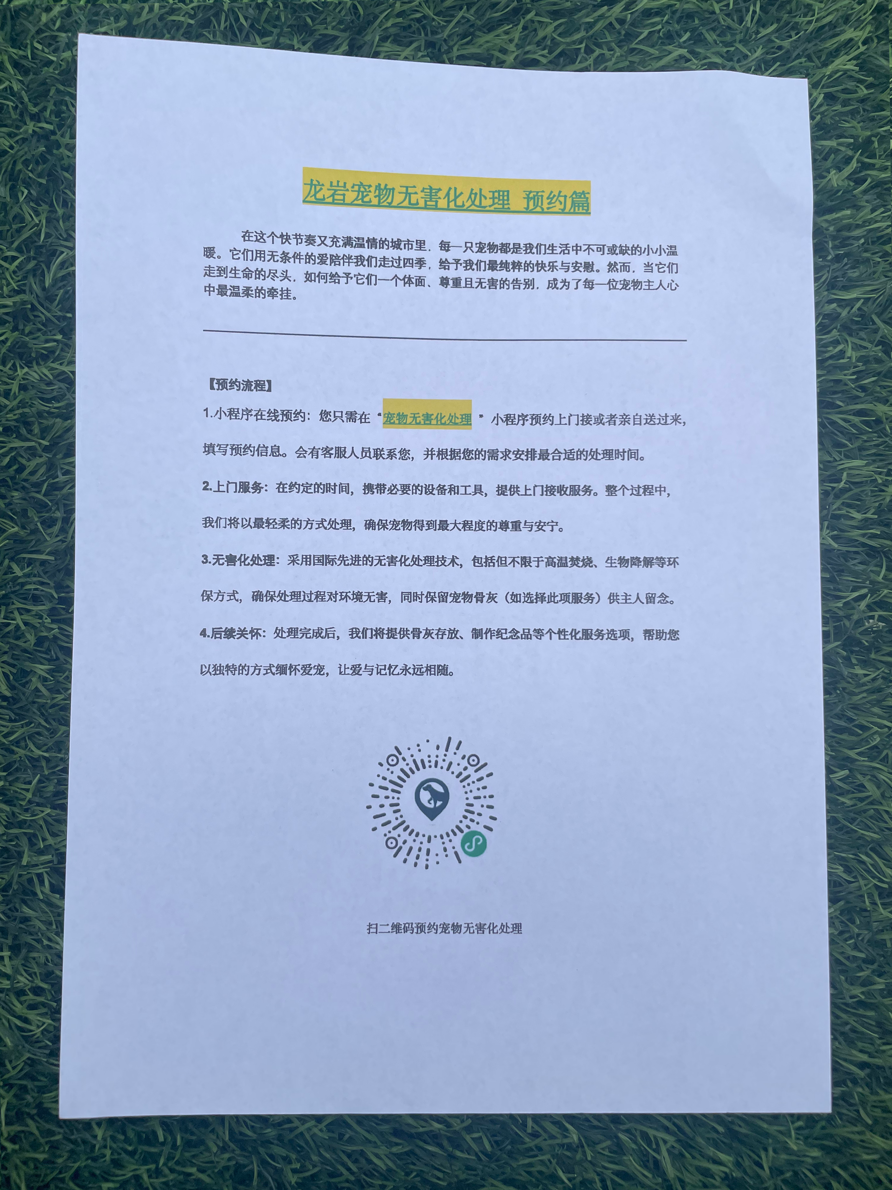 高安宠物无害化处理