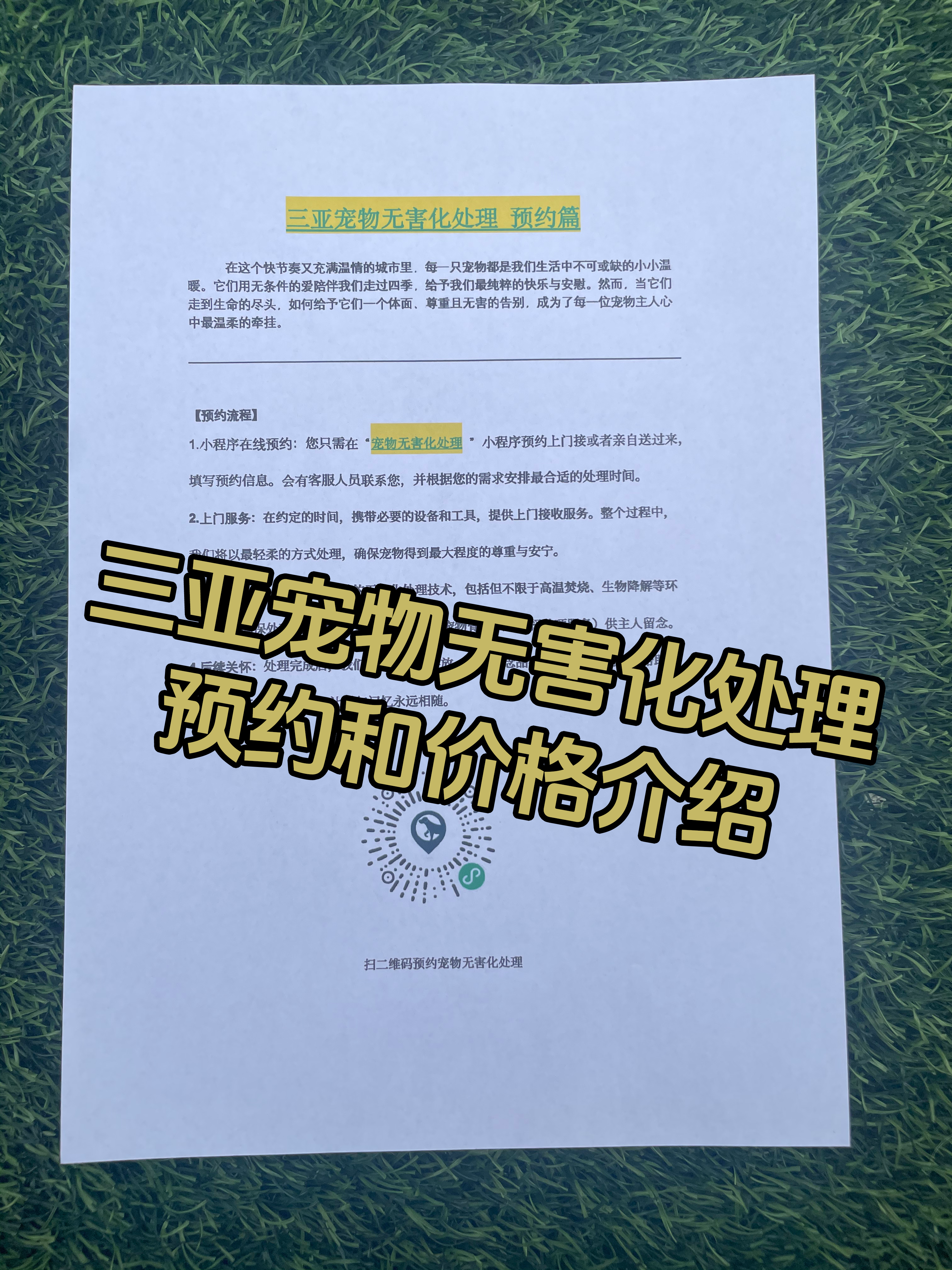 青岛宠物无害化处理