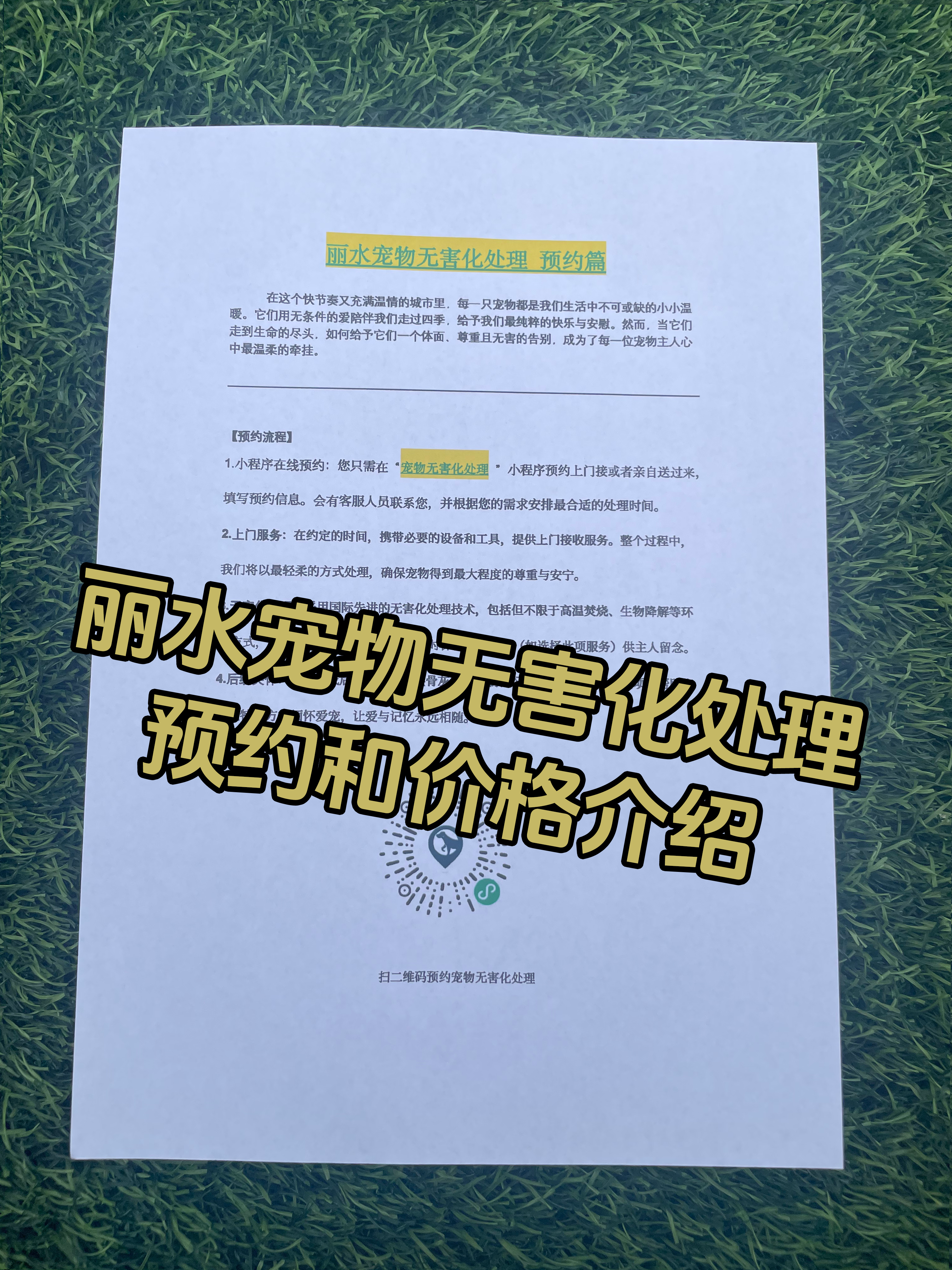 绍兴宠物无害化处理