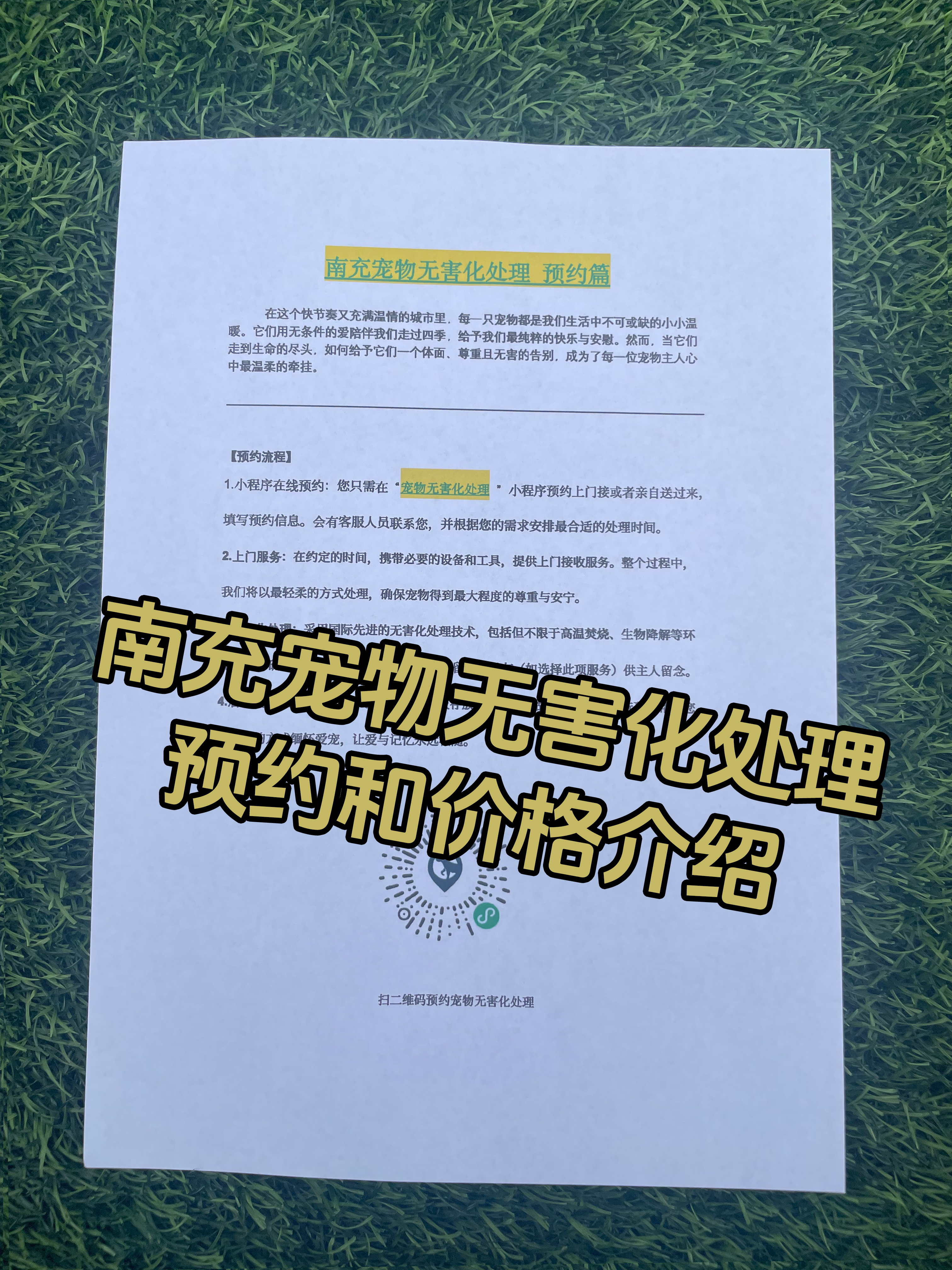 高安宠物骨灰安置