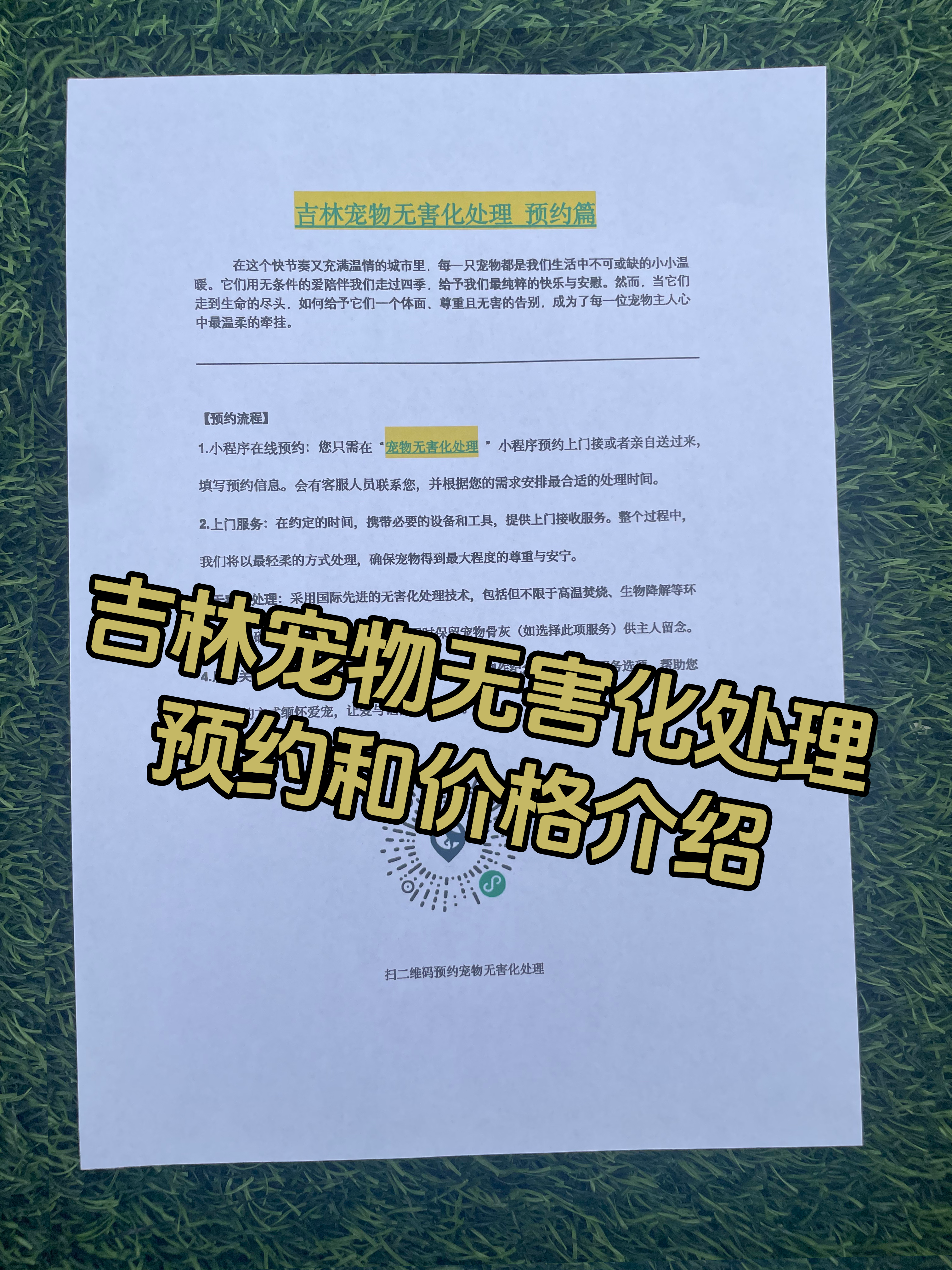岳阳宠物无害化处理机构