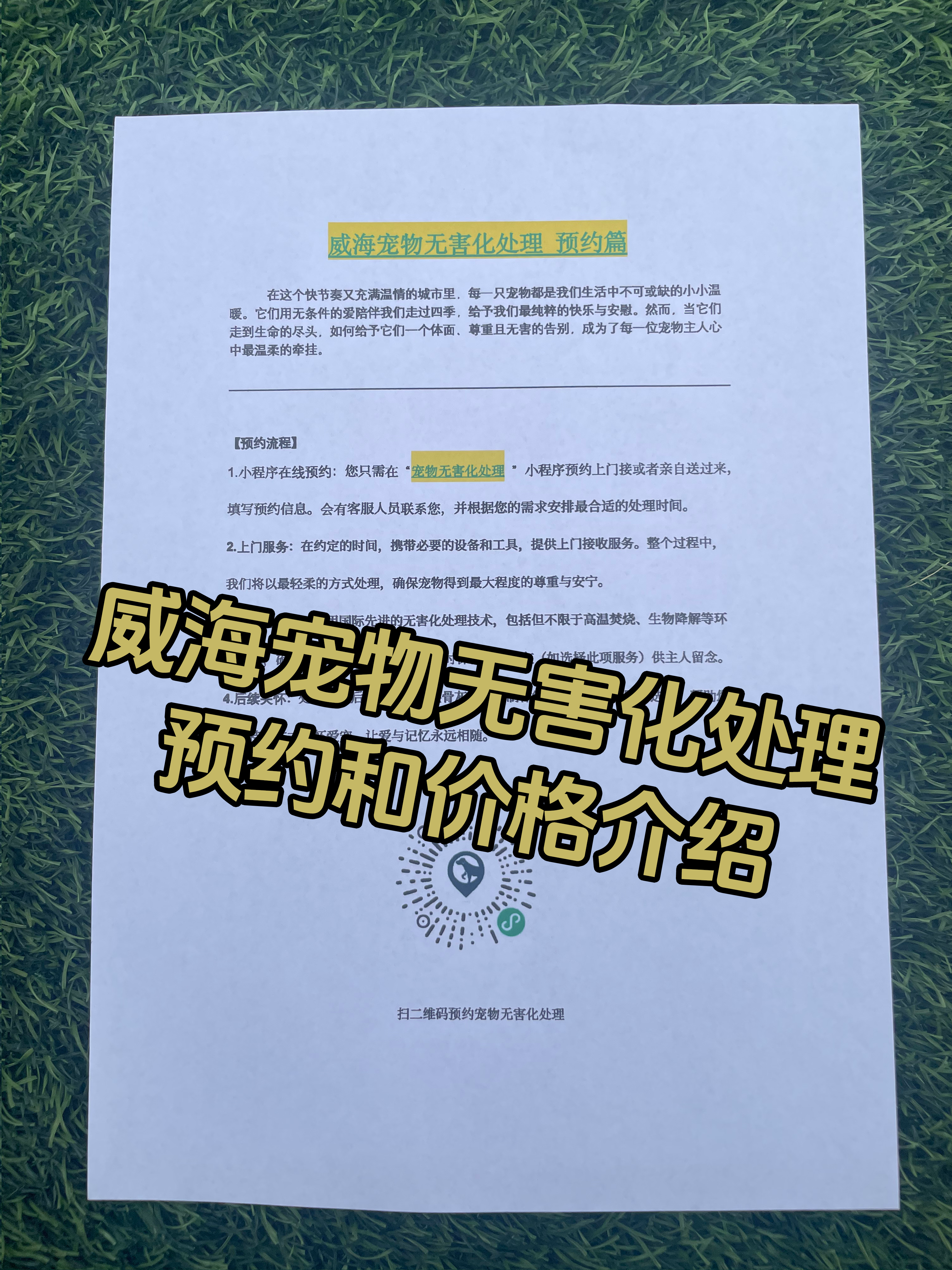 奉新宠摆渡服务