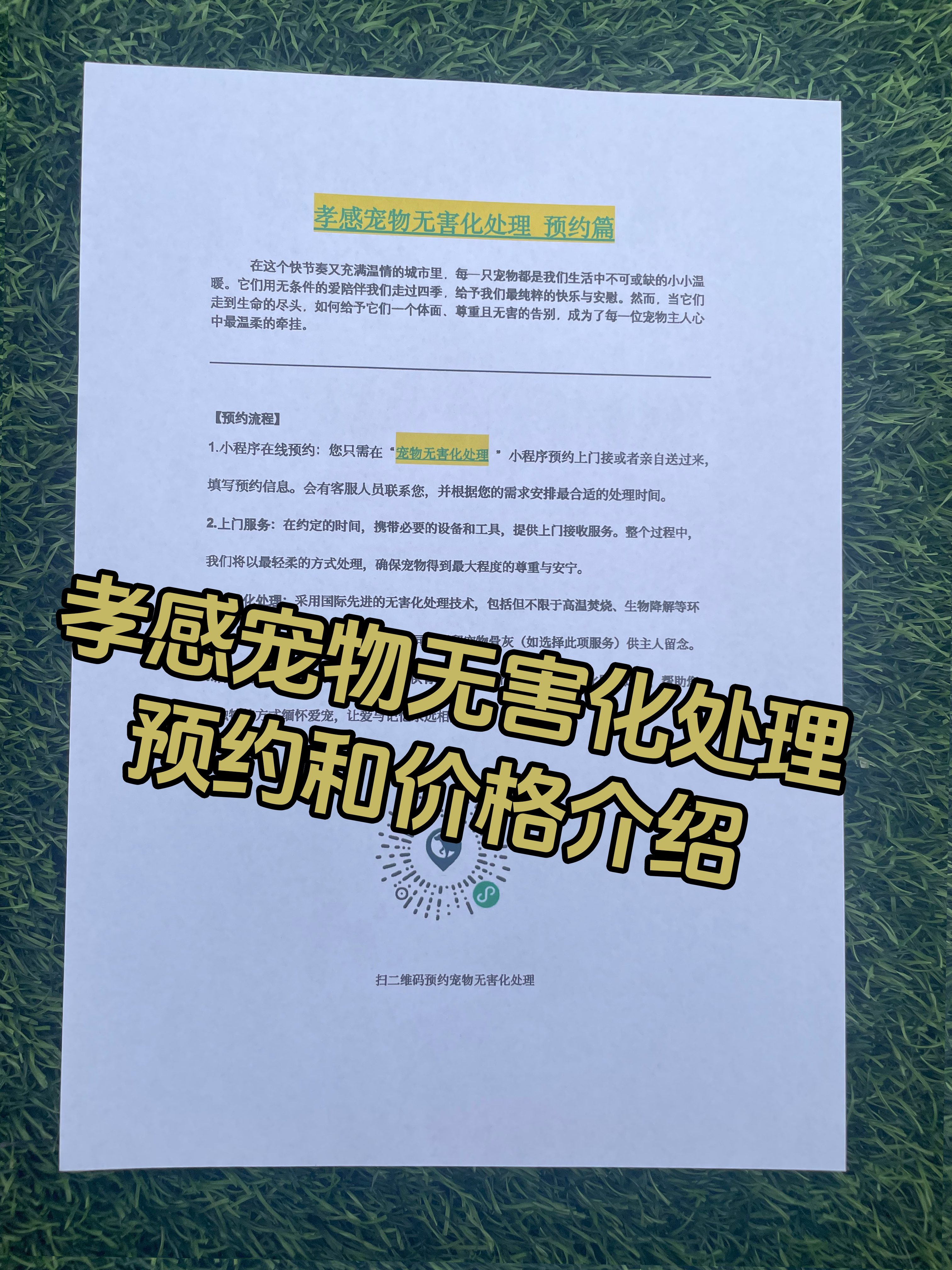 奉新宠物告别