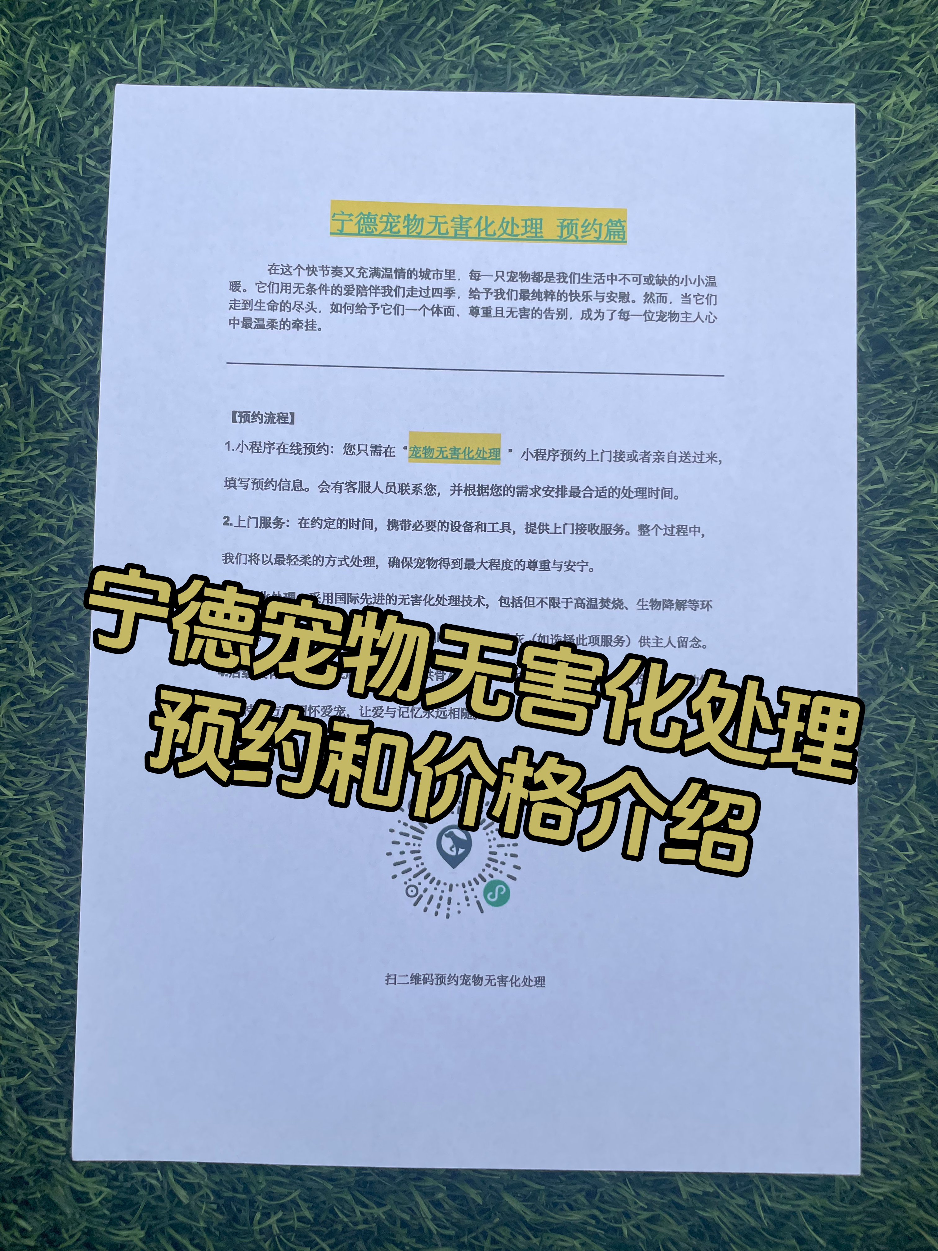 重庆宠物遗体规范处理
