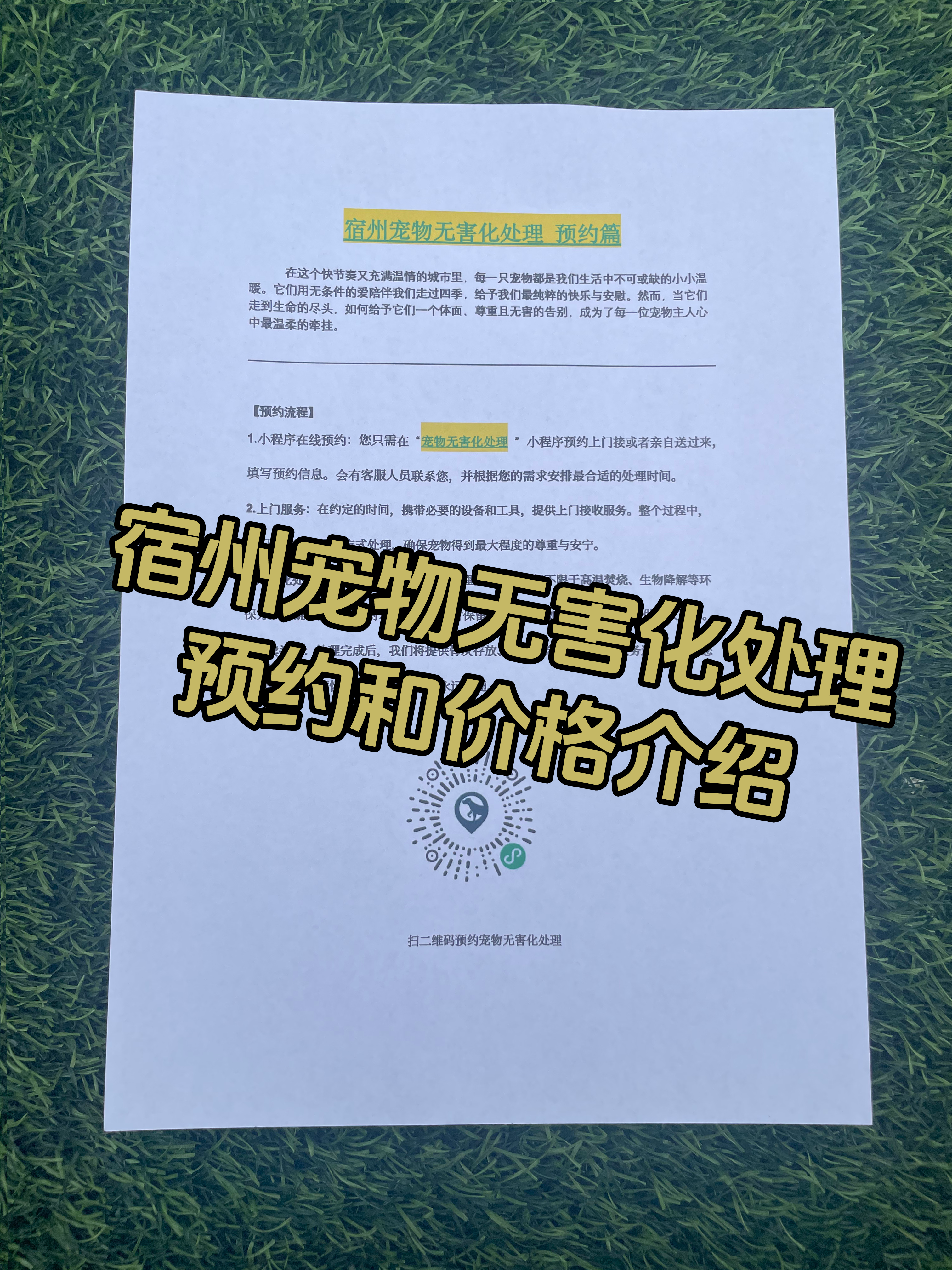 金华宠物无害化处理机构
