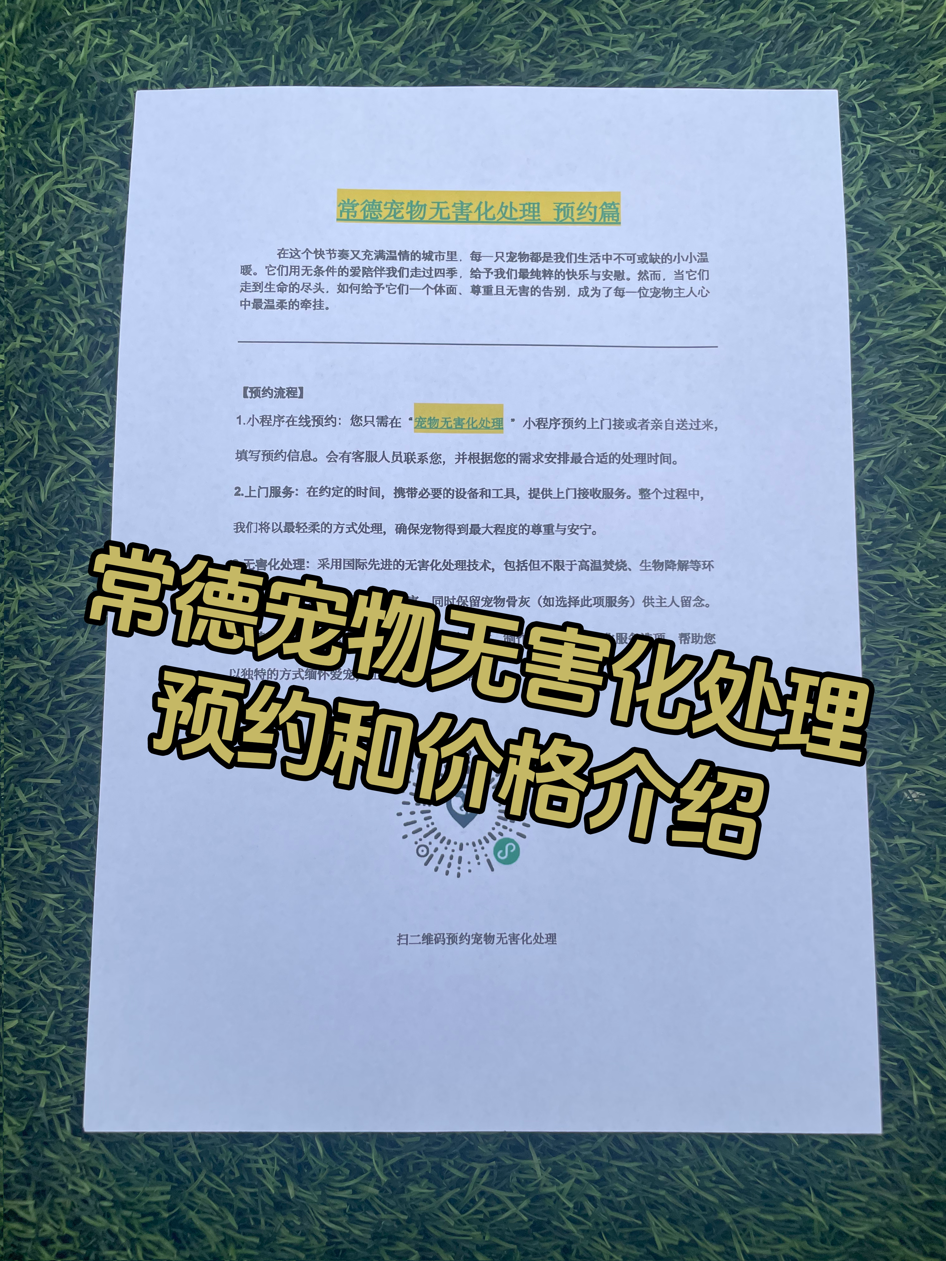 靖安宠物无害化处理流程