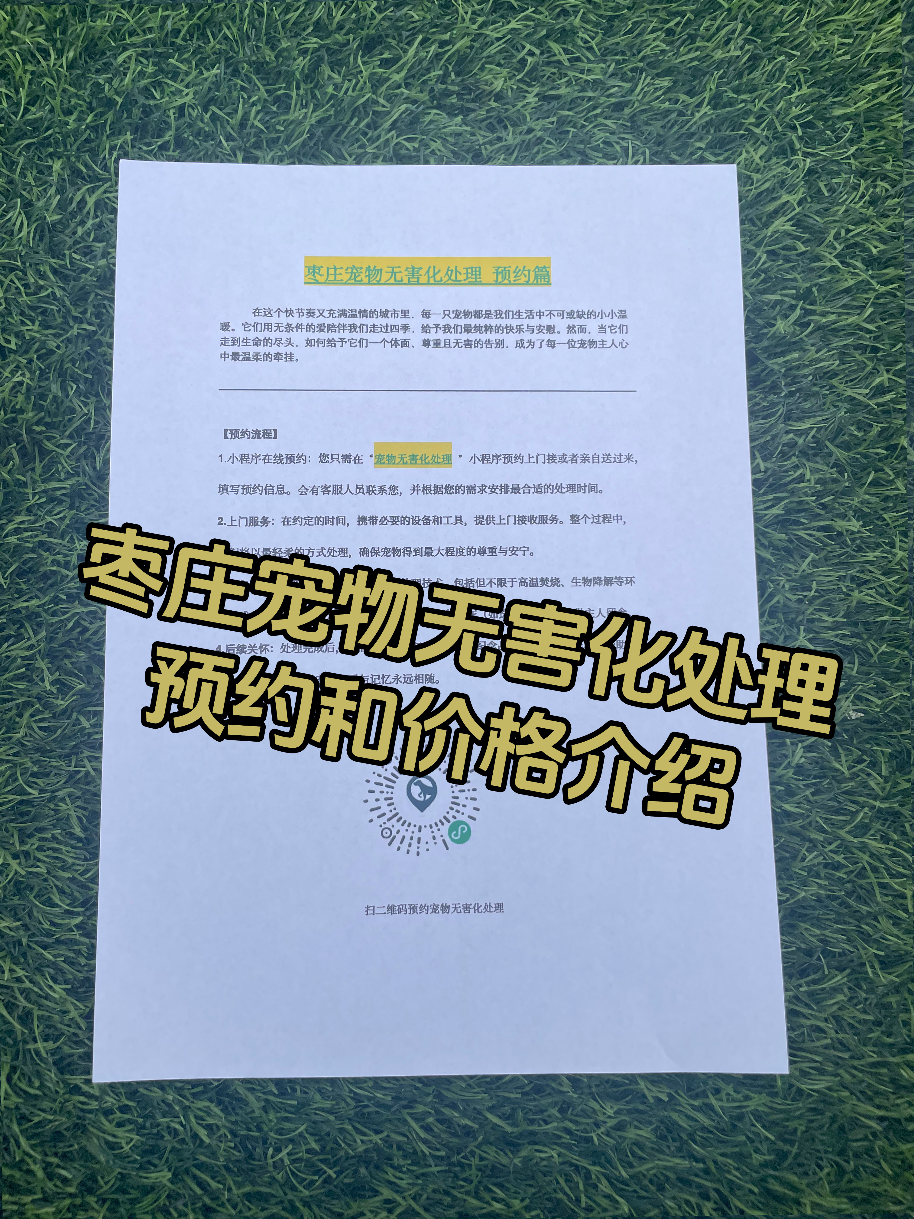 德兴宠物无害化