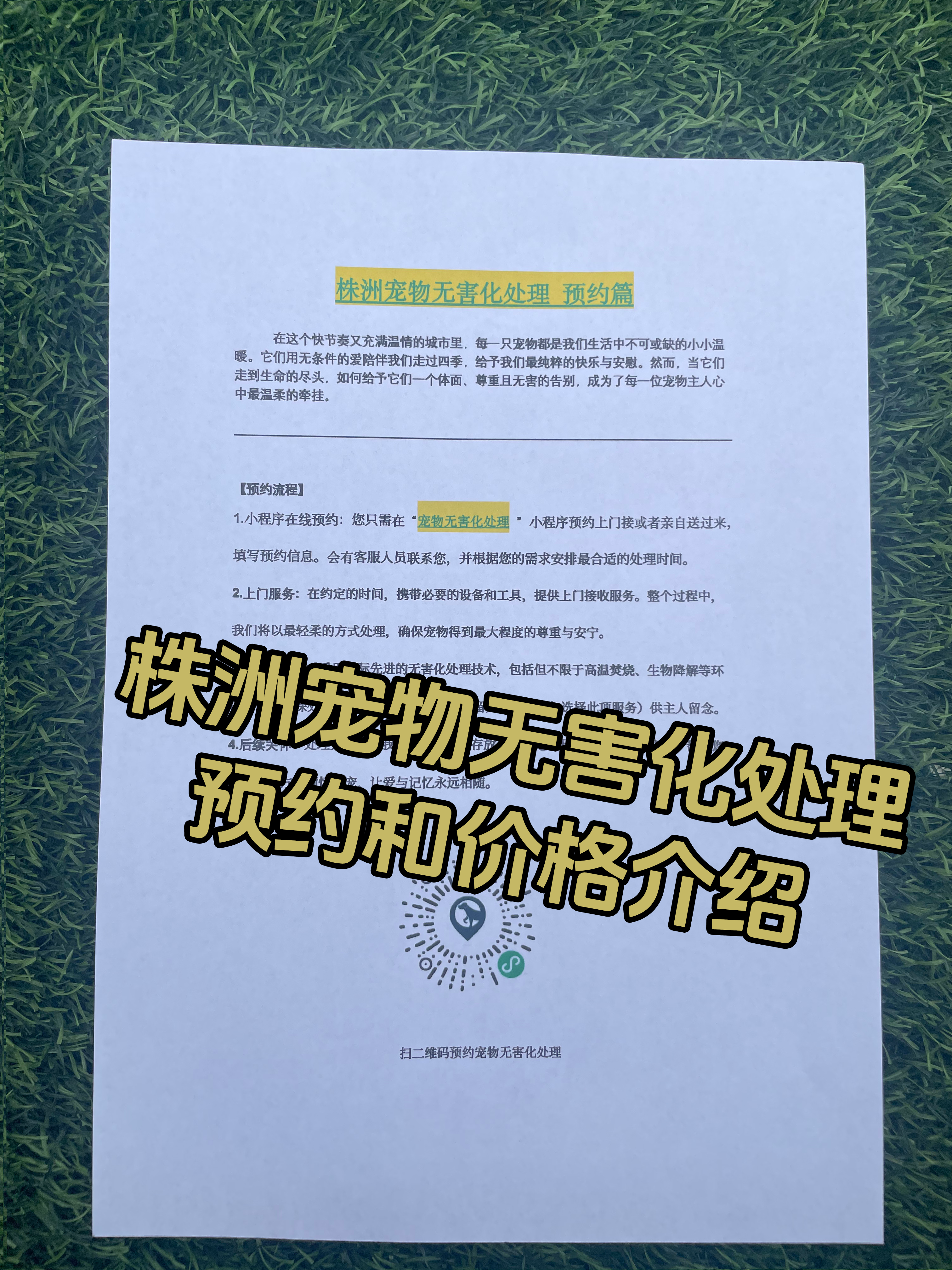 长沙宠物无害化处理