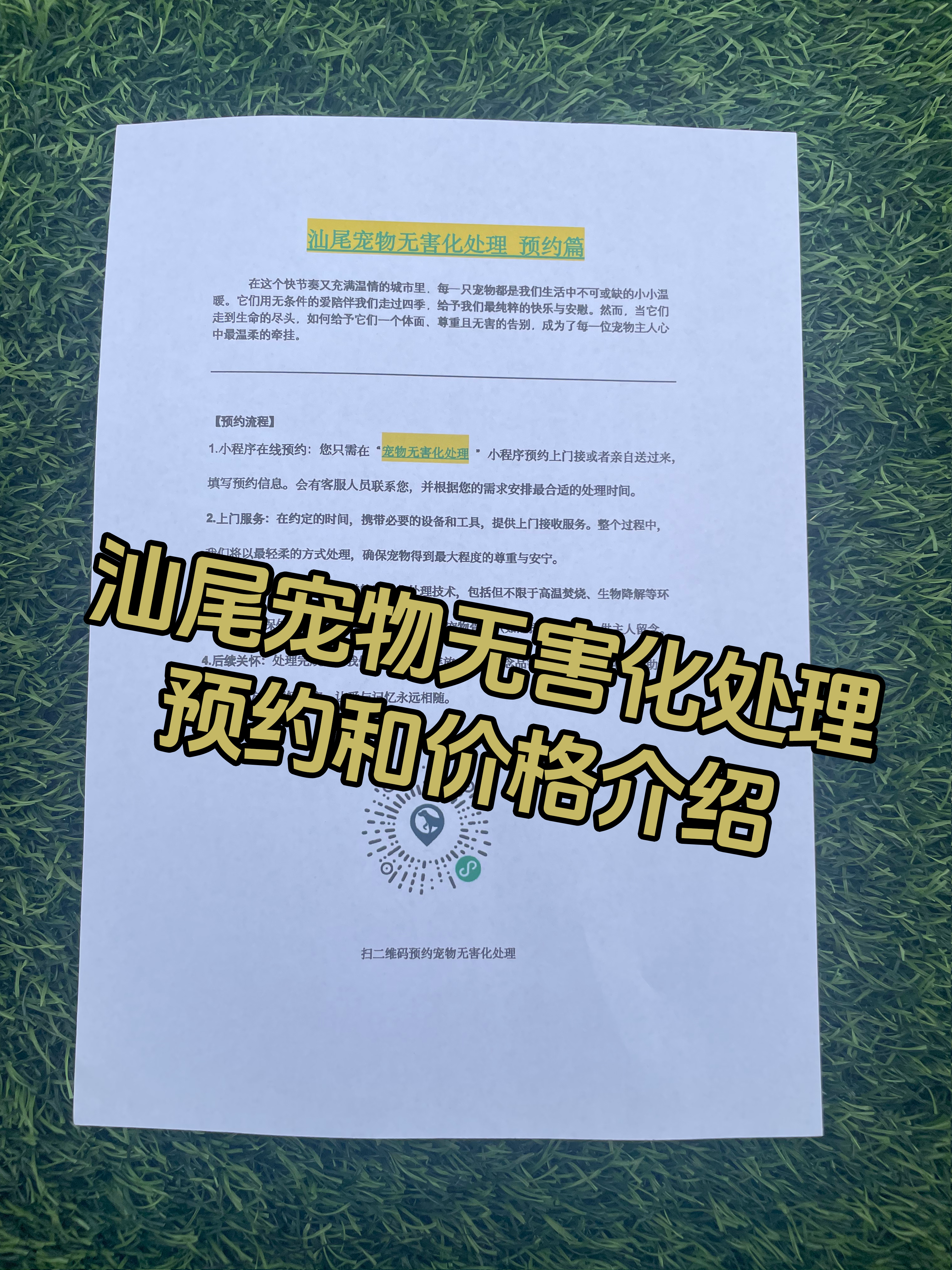 阳江宠物遗体规范处理