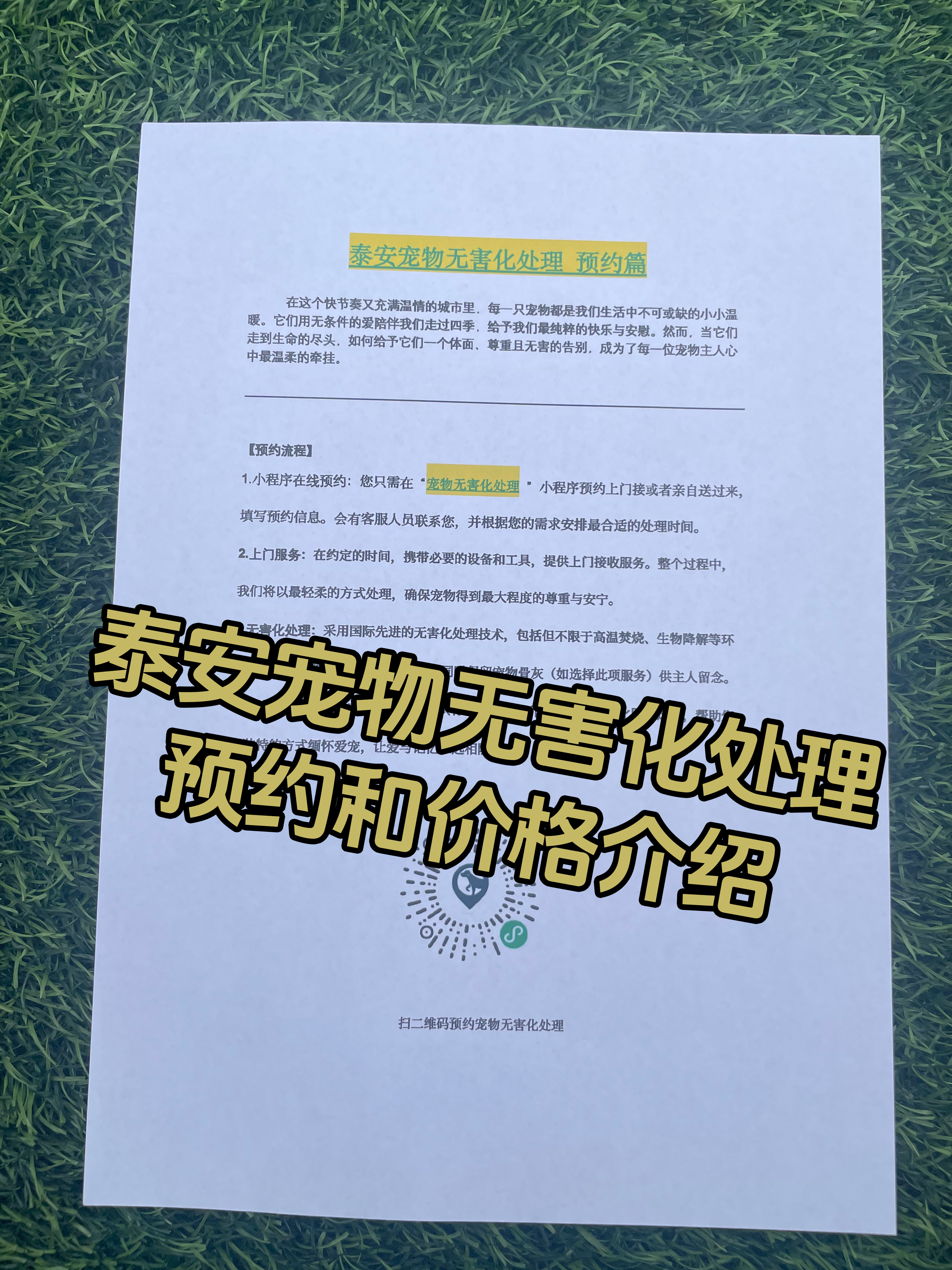 德兴宠物接运服务