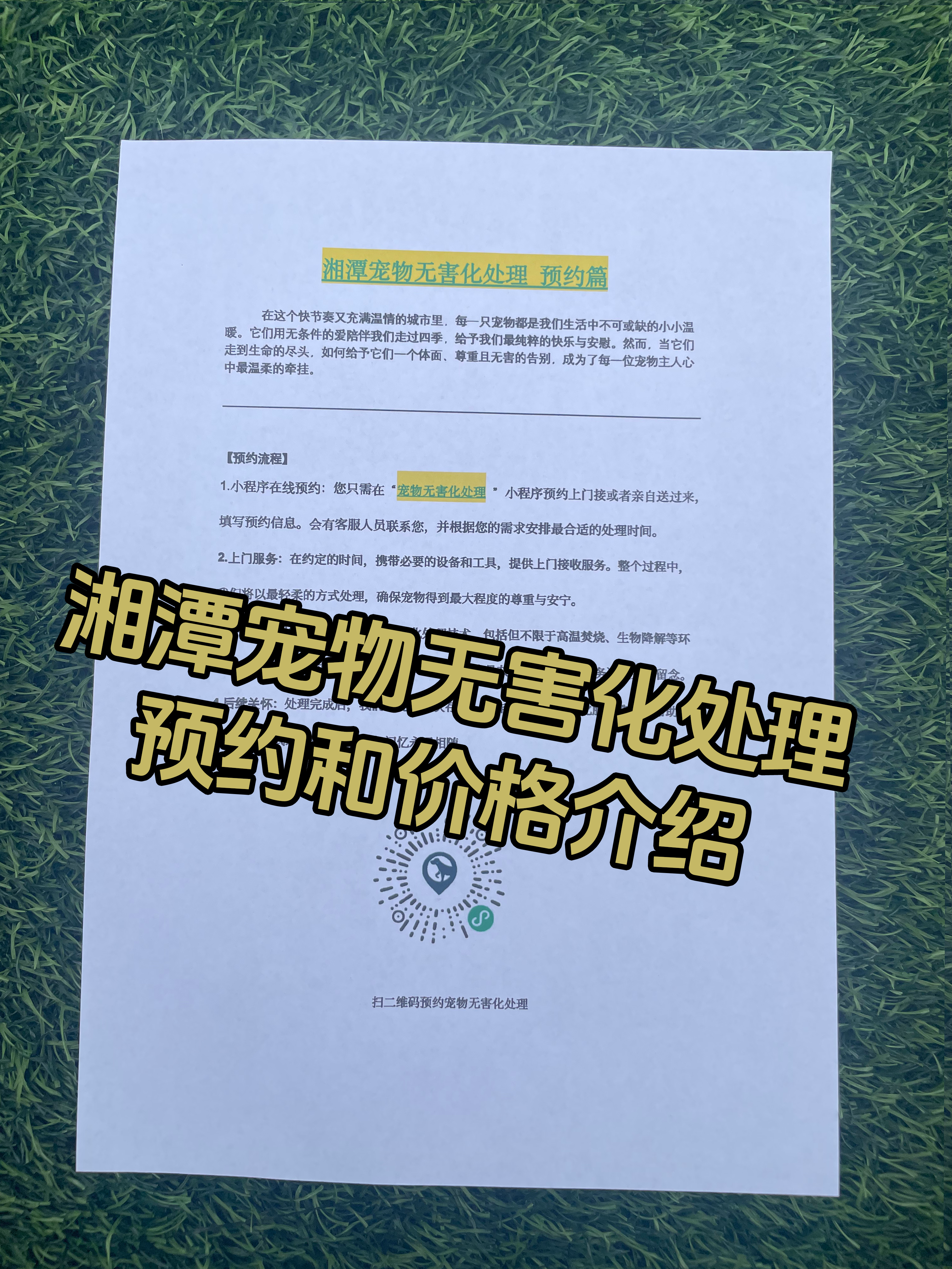 东莞宠物无害化处理
