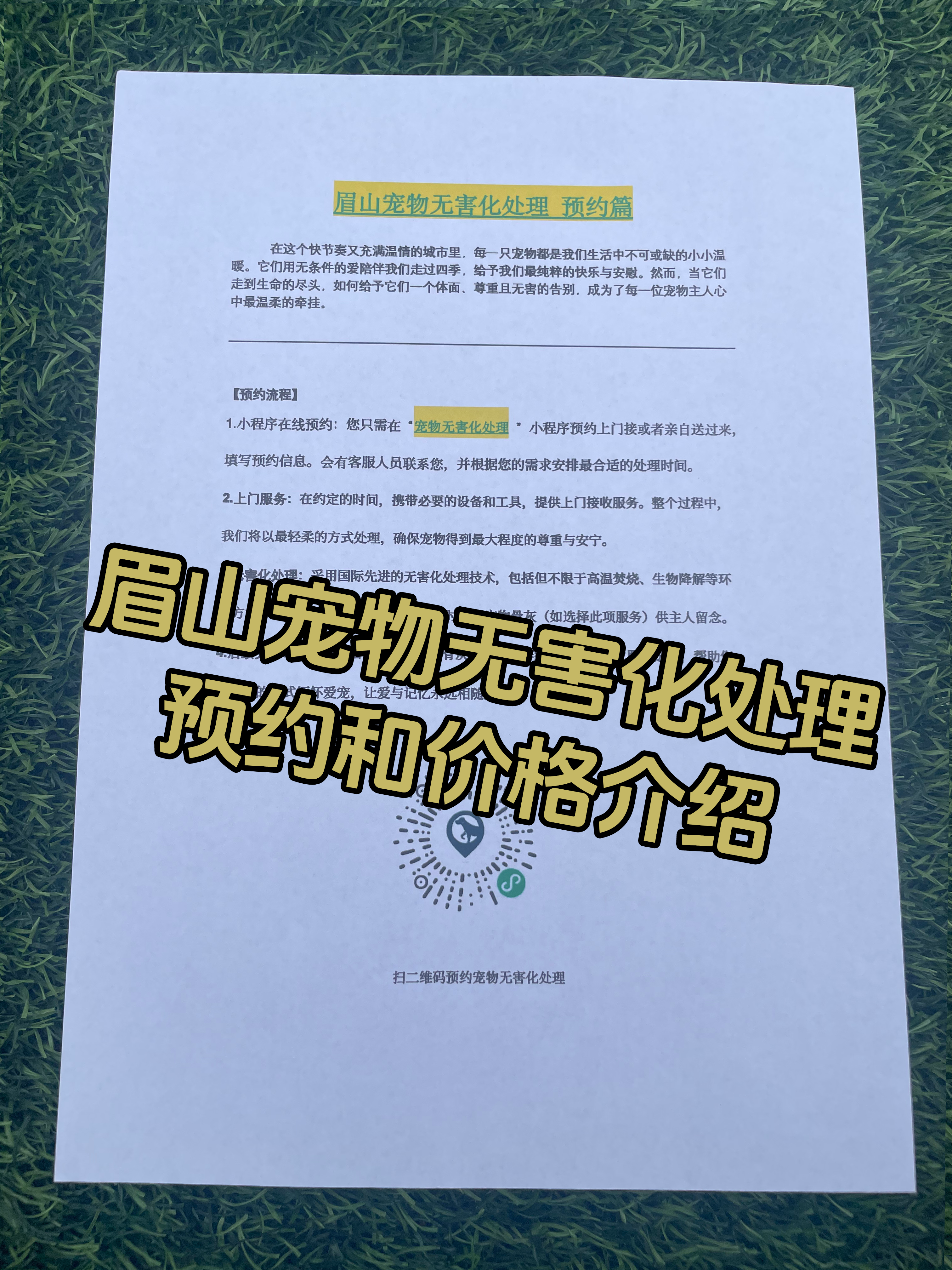 张家界宠物遗体规范处理