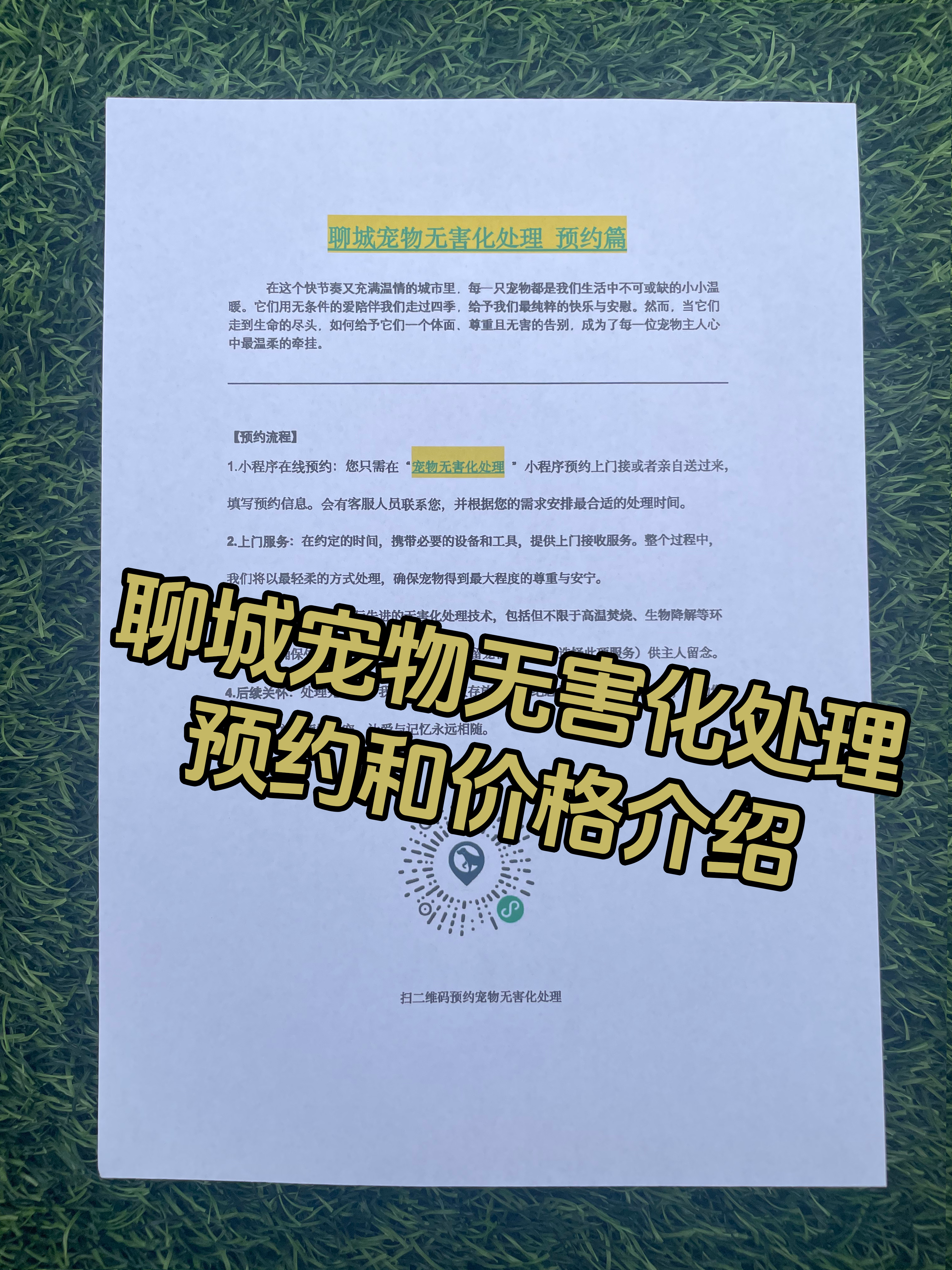 上饶县宠物接运服务