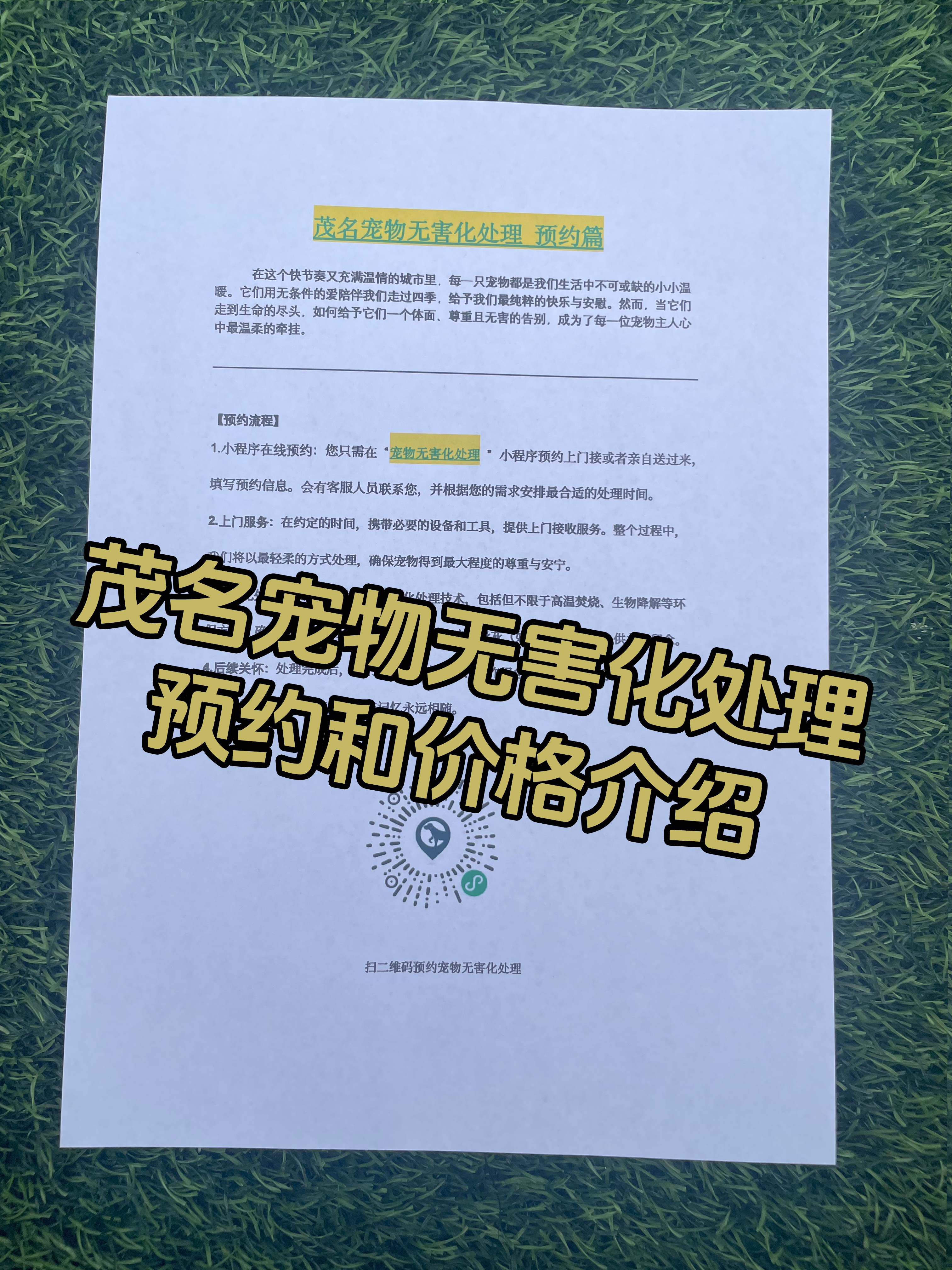 阳江宠物无害化处理机构